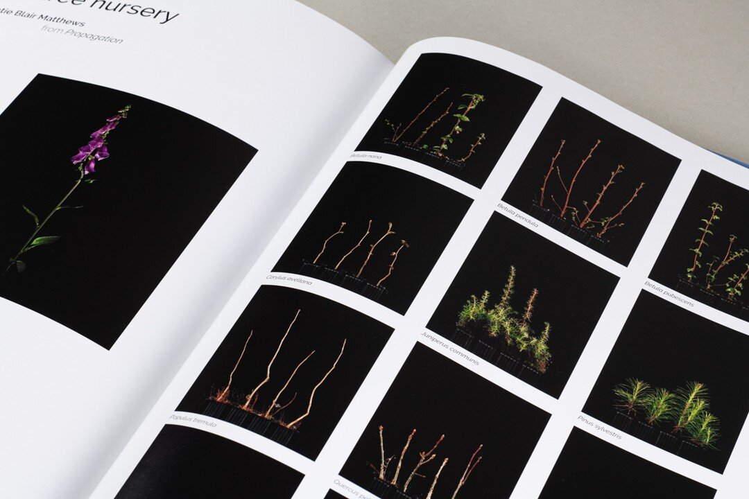 My two page spread in &quot;Surveying the Anthropocene: Environment and Photography Now&quot;, featuring photographic portraits of 12 native saplings, grown by hand in the Highlands of Scotland by the charity Trees for Life. Shot on 120 film in a woo