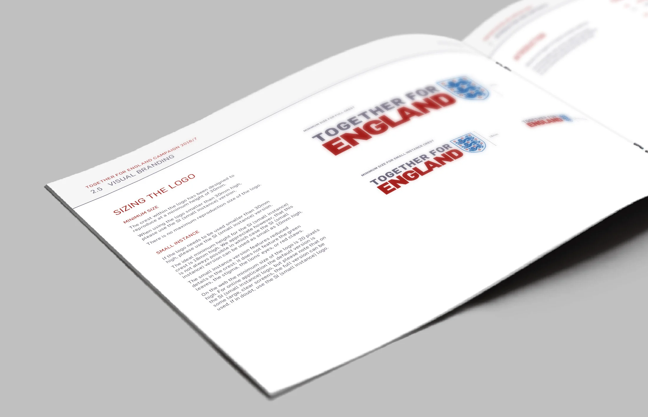 tfe guidelines logos 2.jpg