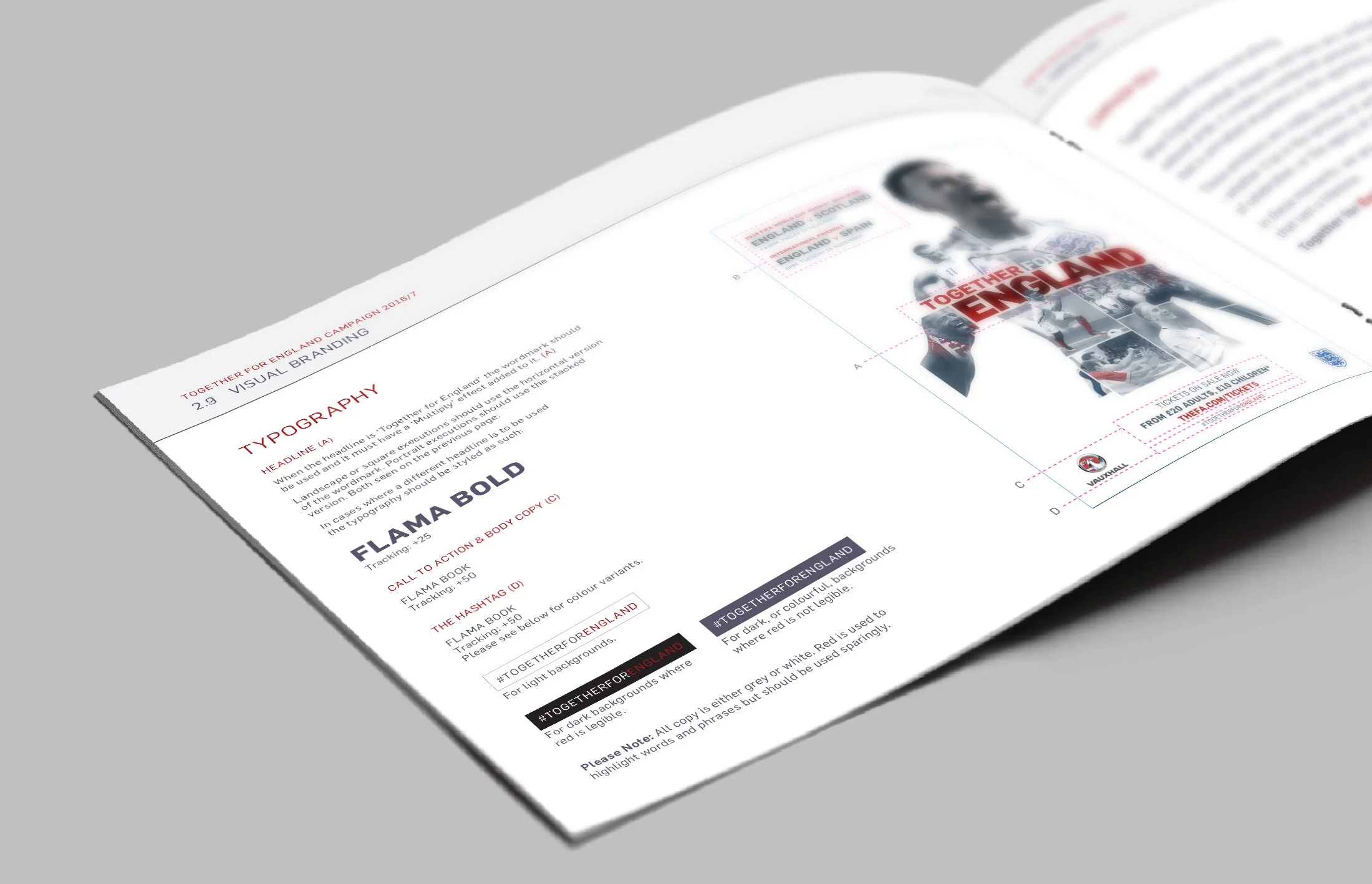 tfe guidelines type.jpg