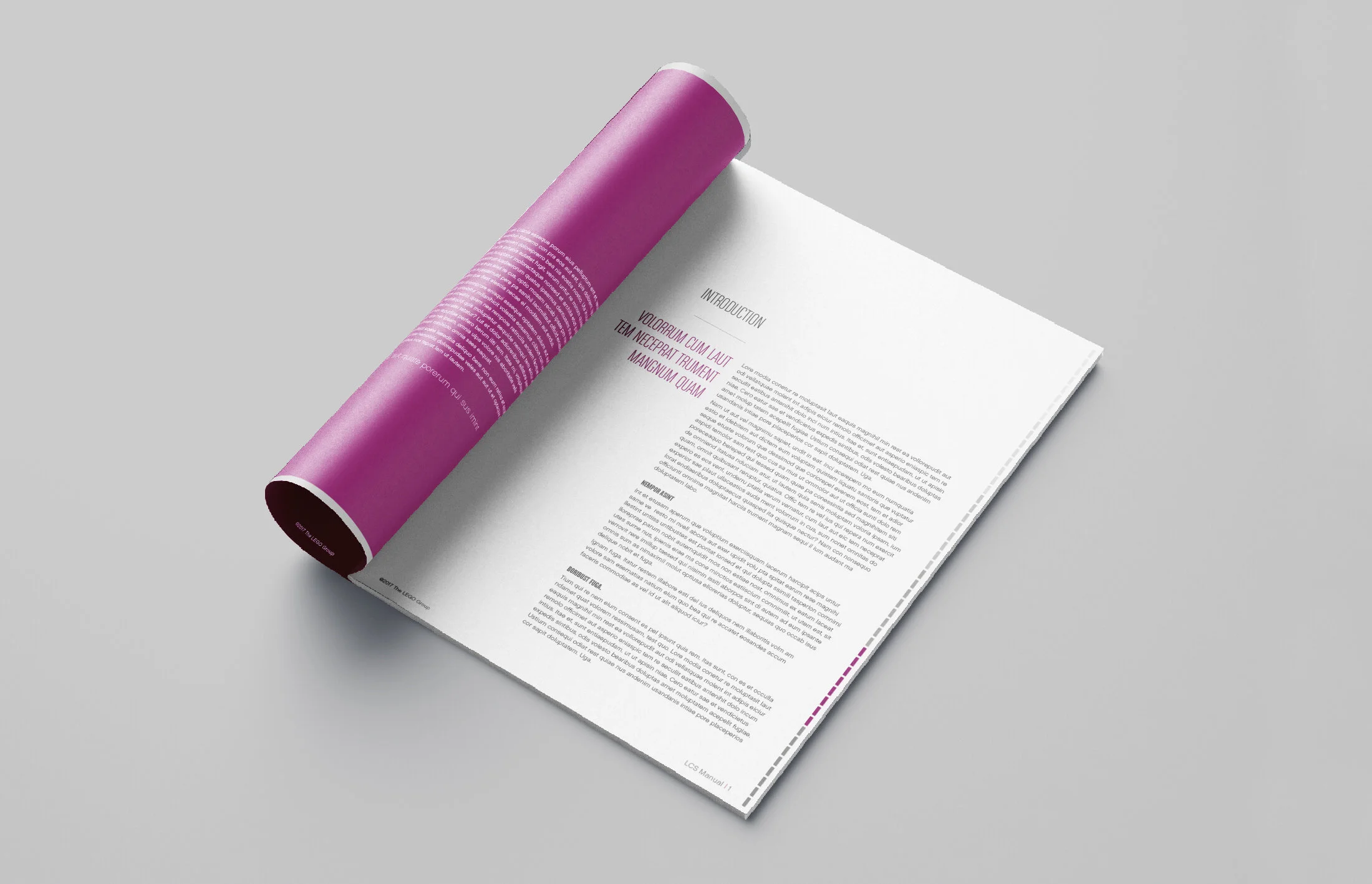  Unfortunately I am unable to show any of the other projects as they are all internal projects for senior management, such as the Lego Leadership Manifesto.  