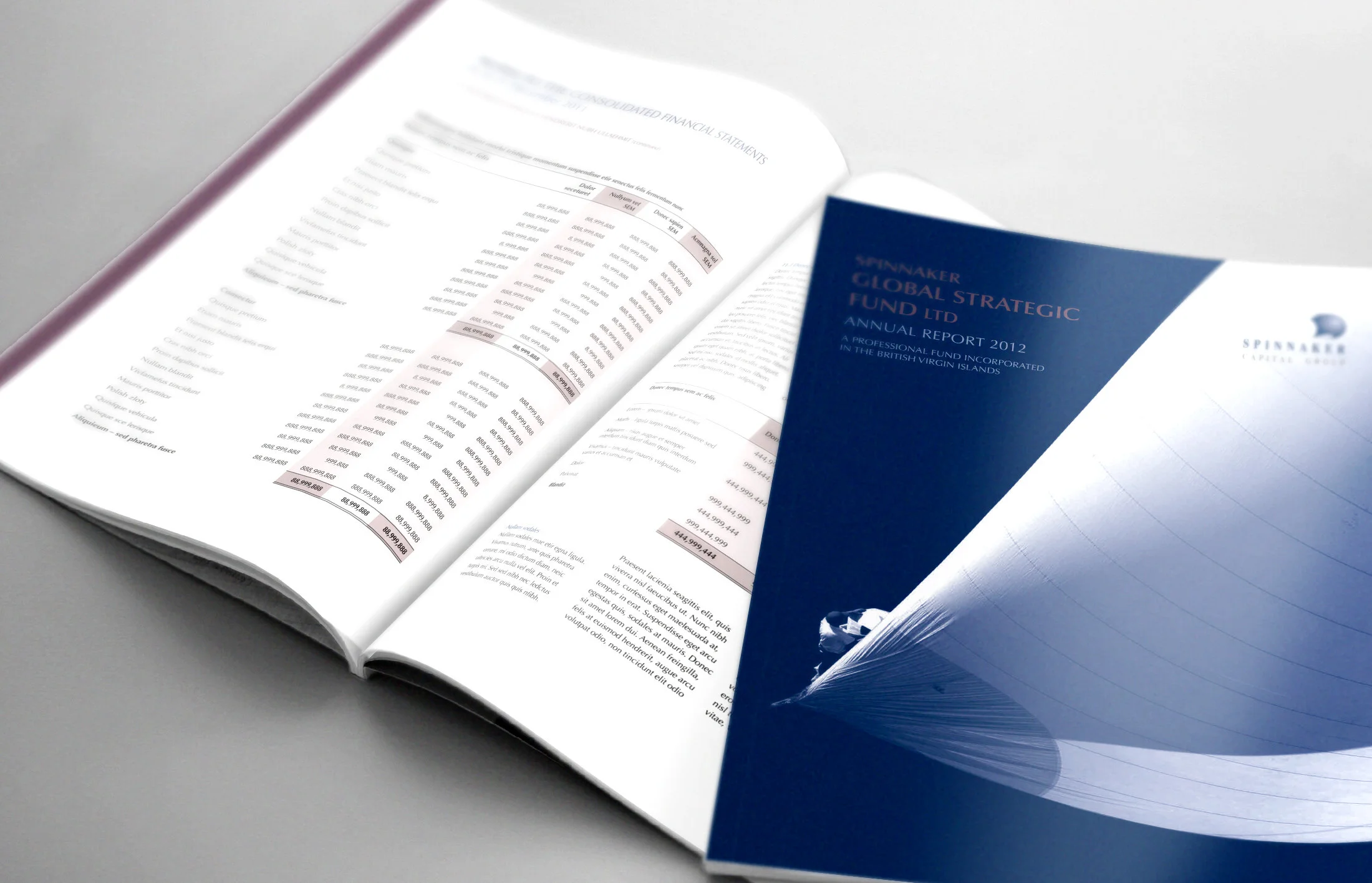  I won the Spinnaker Annual Report pitch and subsequently produced the reports for all three Spinnaker funds for the next five years.  