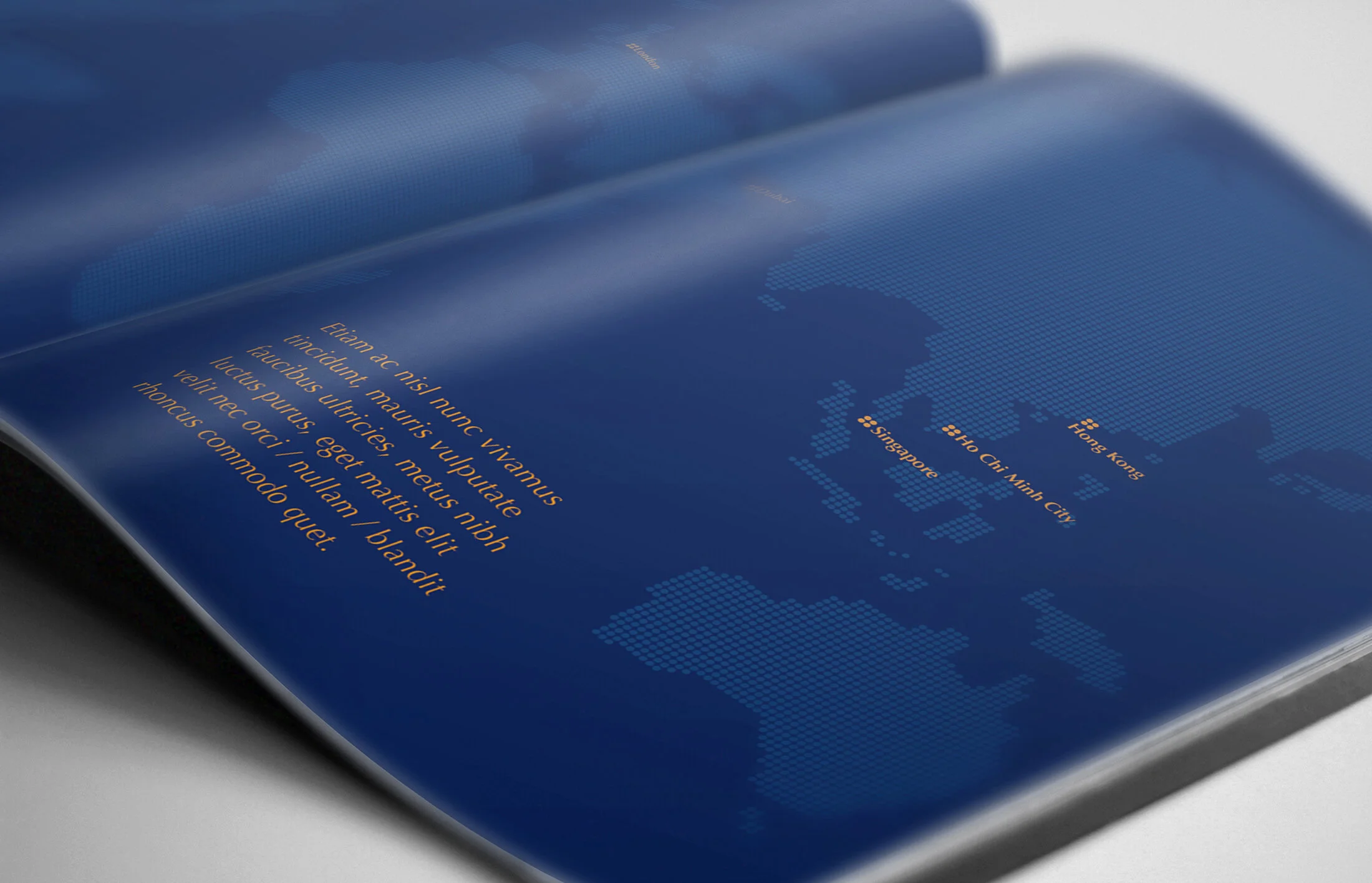  Spinnaker wanted to have reports which were understated, not  shouty, but smart and elegant with a hint of sophistication.  