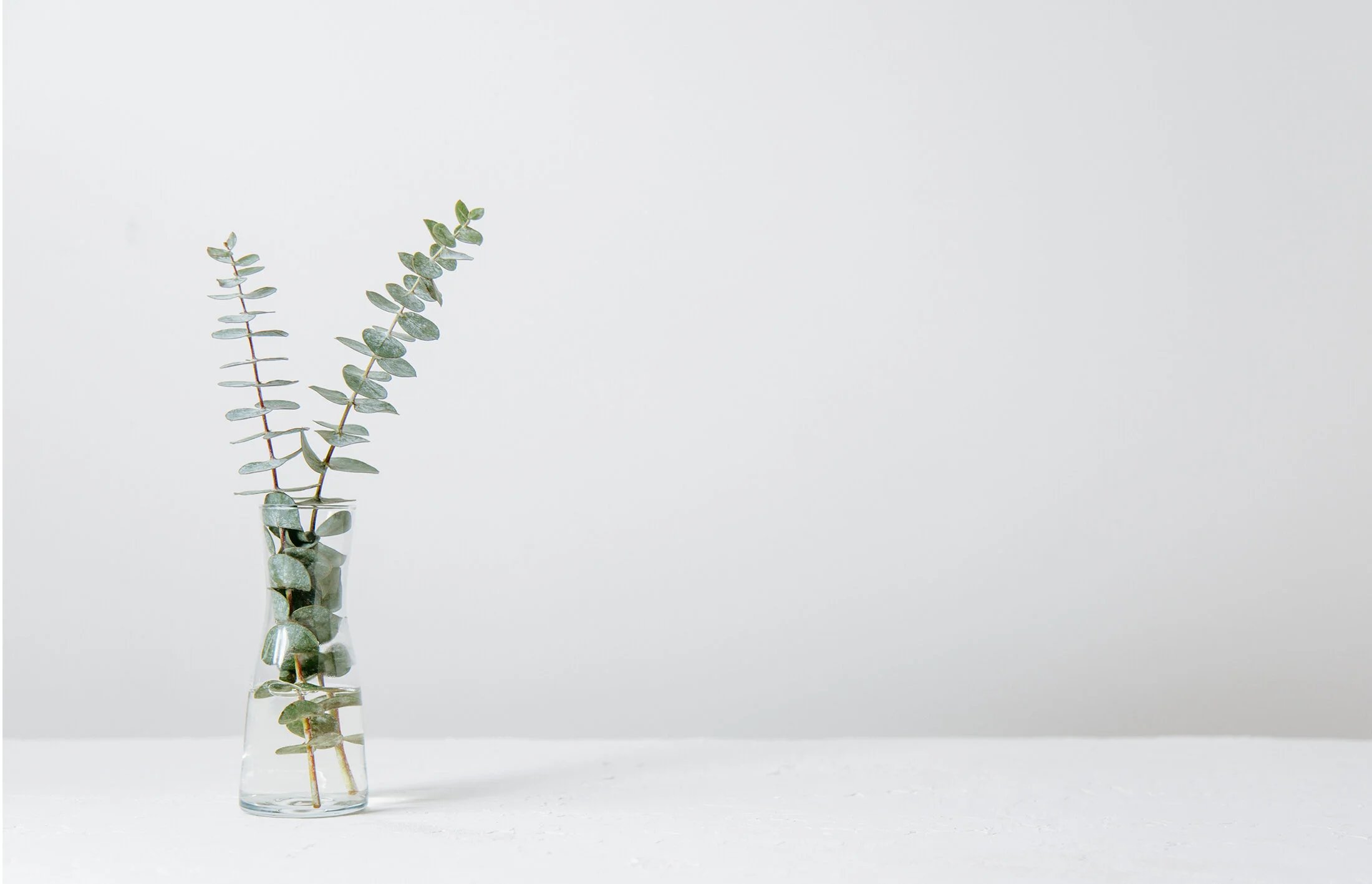 bellissima a image_0006_tim-chow-9IcKPSQ9G5Q-unsplash.jpg