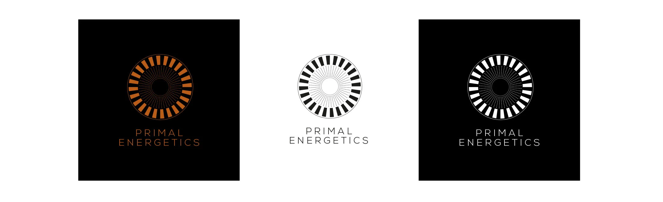  The logo represents one’s inner cosmos. The inner circle is point zero, the Self, surrounded by the divine spark leading to wholeness and completion.  