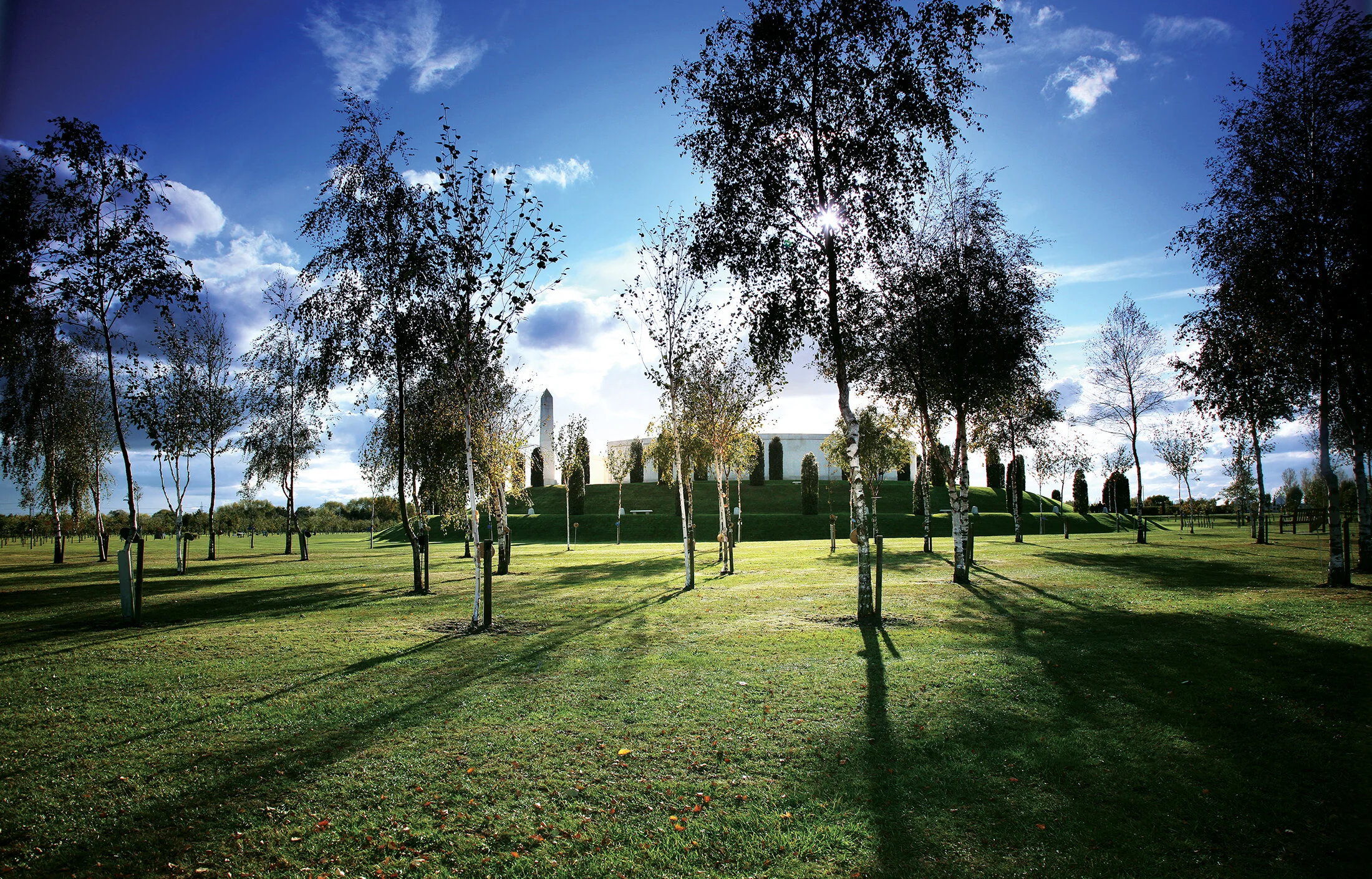 afm through trees.jpg