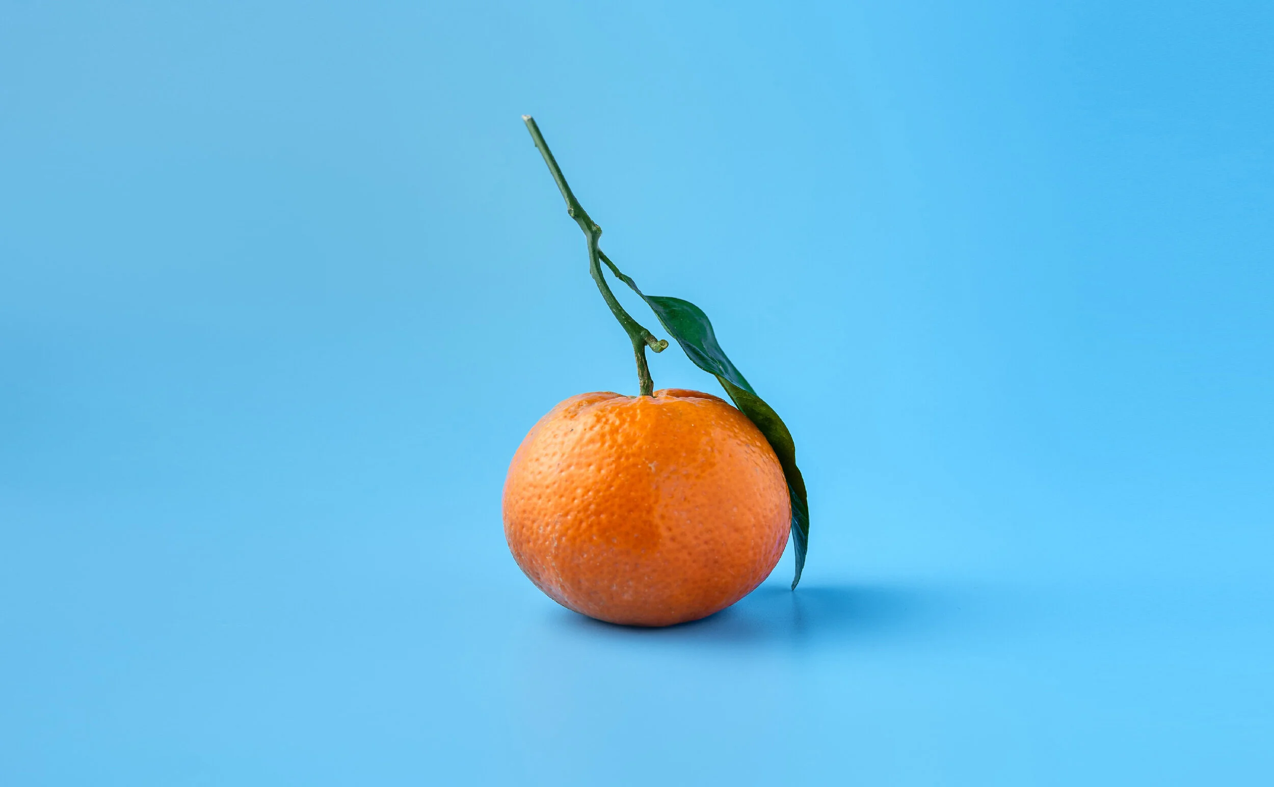 innocent fruit_0000_Layer 1.jpg