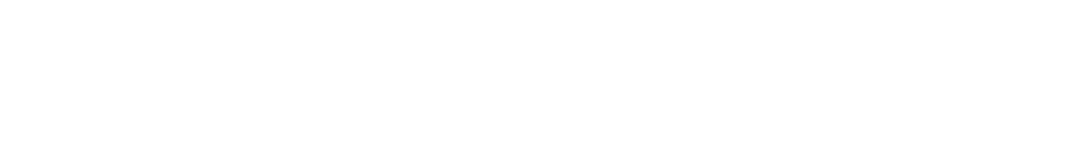 International Executive Rentals