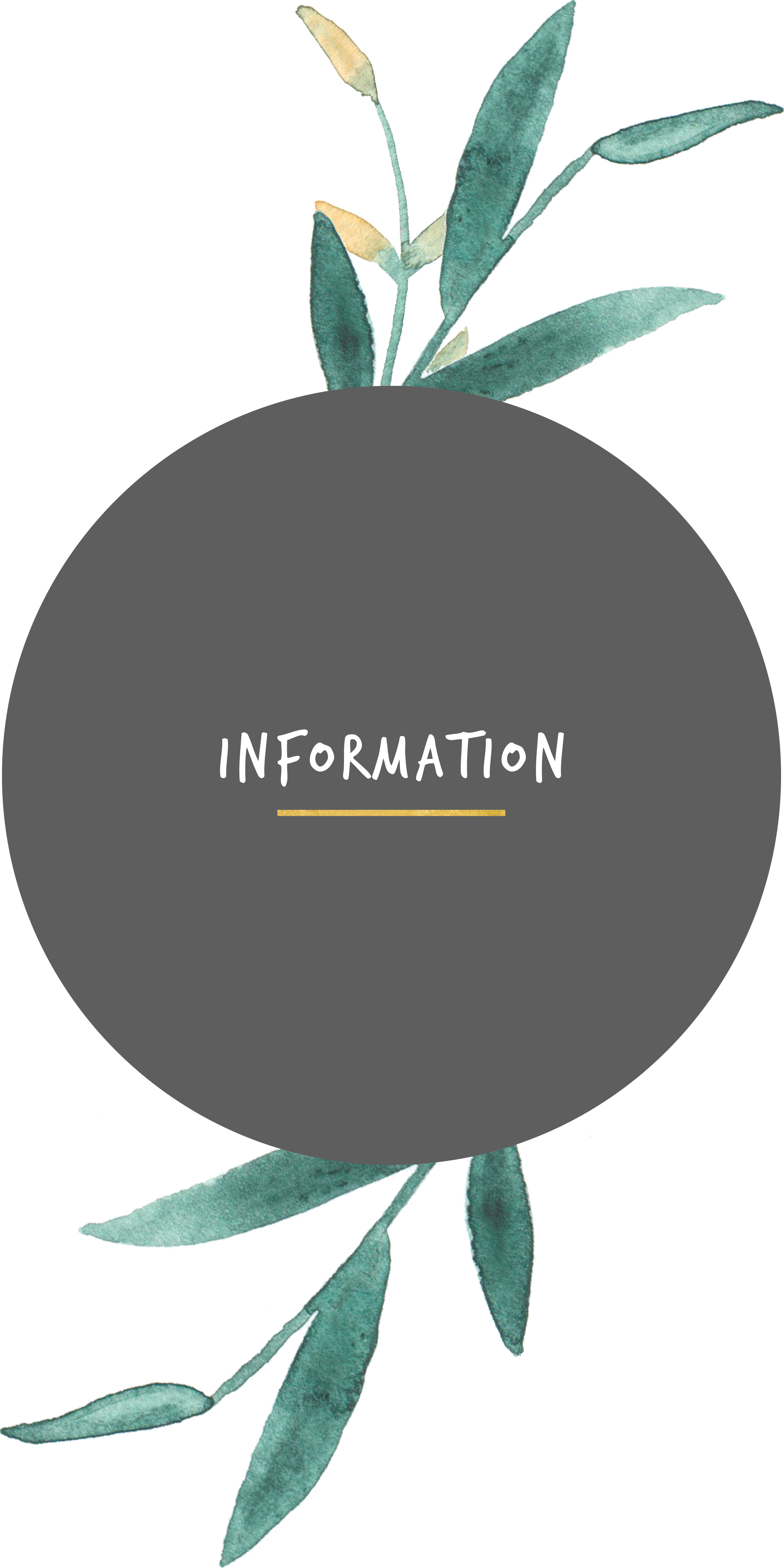 04info.png