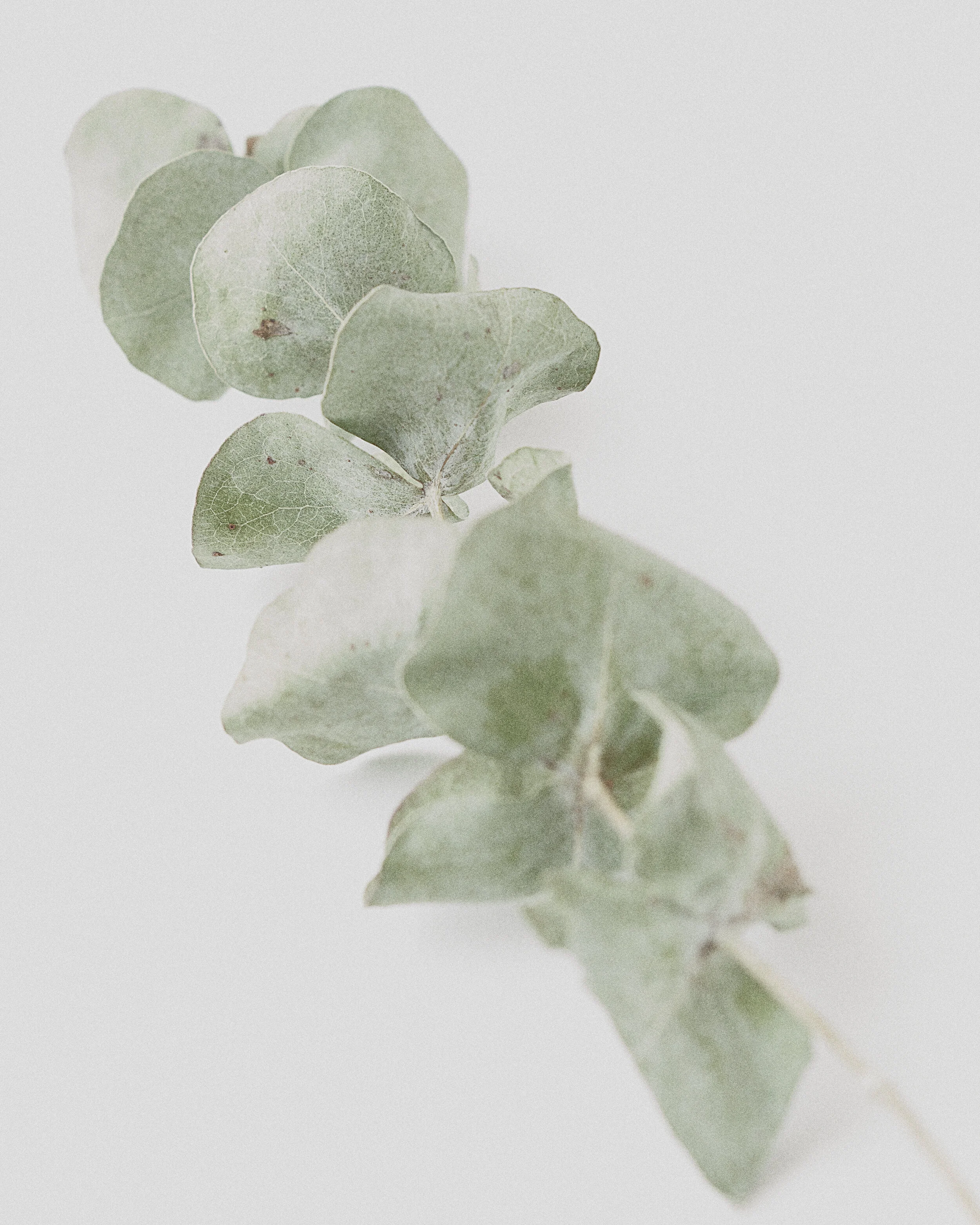Shot_Test_01_066.jpg