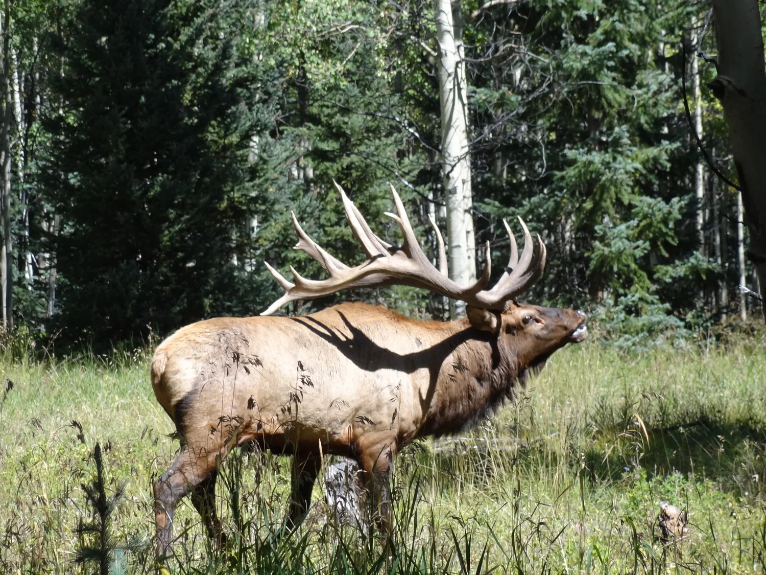 sc++hunt+pics+14+367.jpg