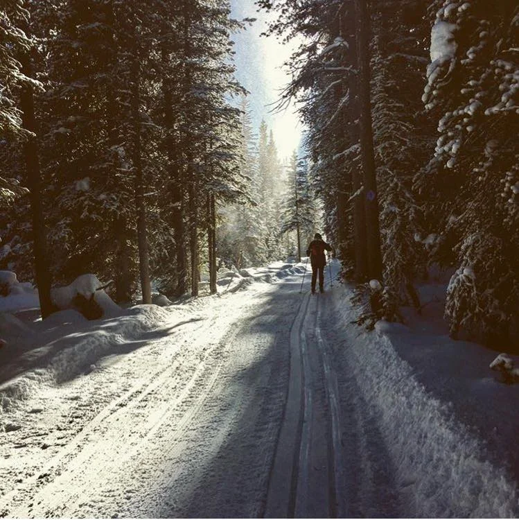 Sibley Lake Recreation Area Photo Credit: Jessica Ross 