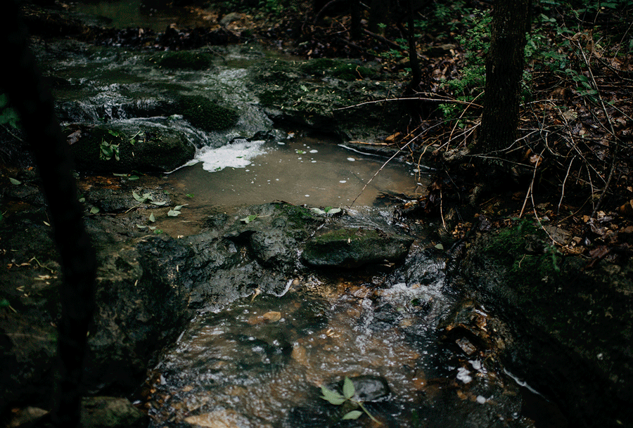 2.gif