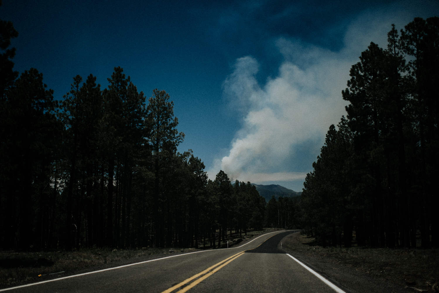 RJT_blog-49.jpg