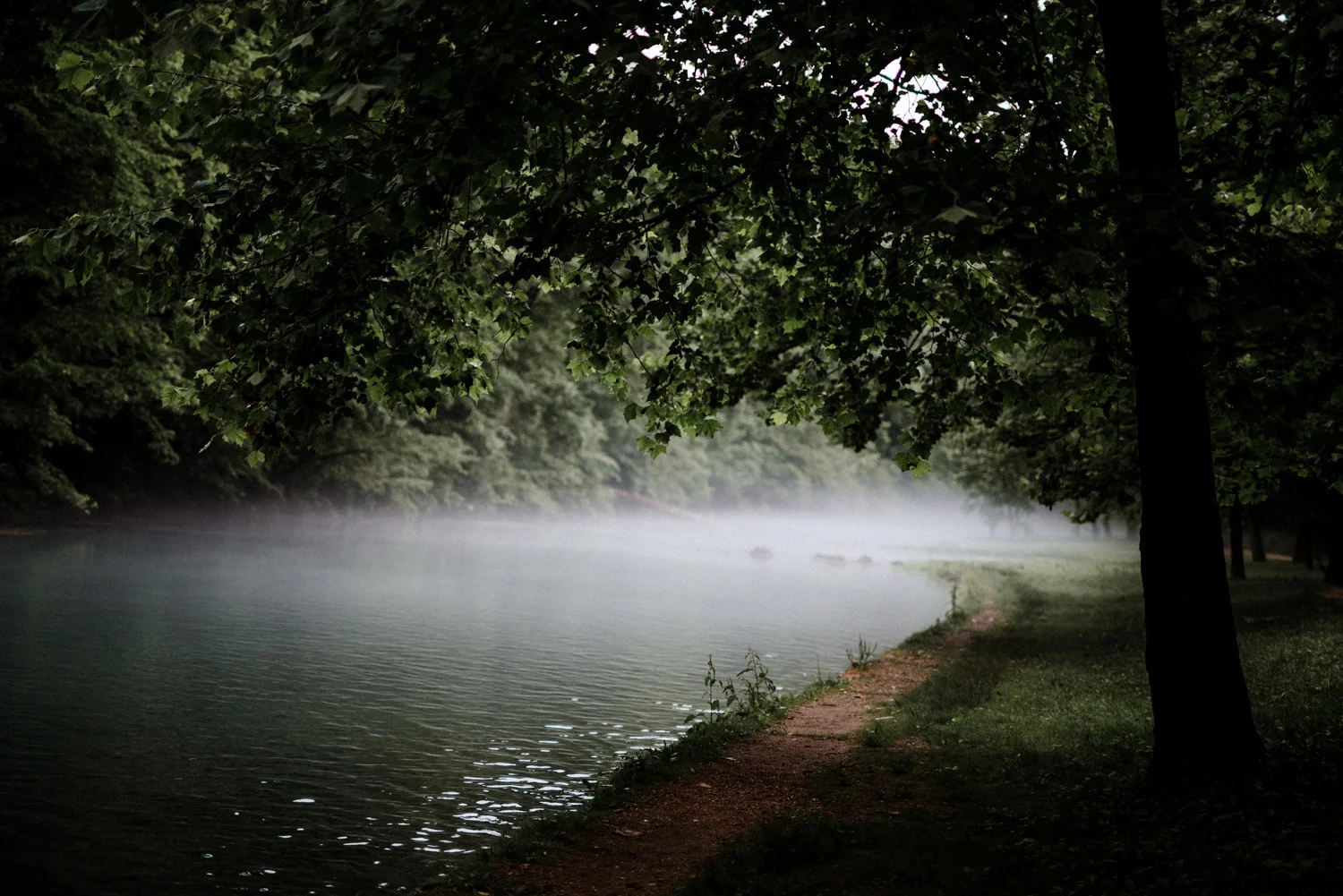 DSC_6564.jpg