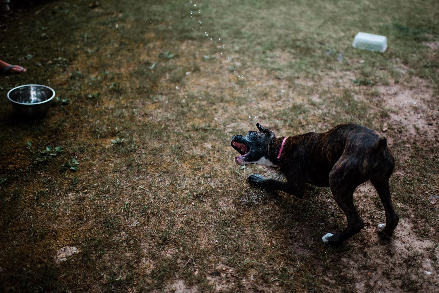 DSC_6880.jpg