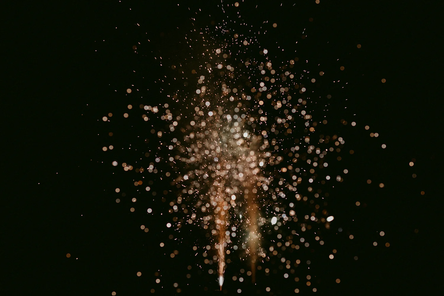 DSC_8378.jpg