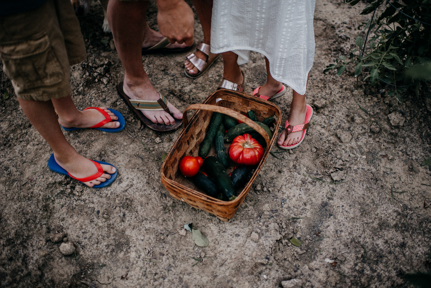 wilson_family-51.jpg