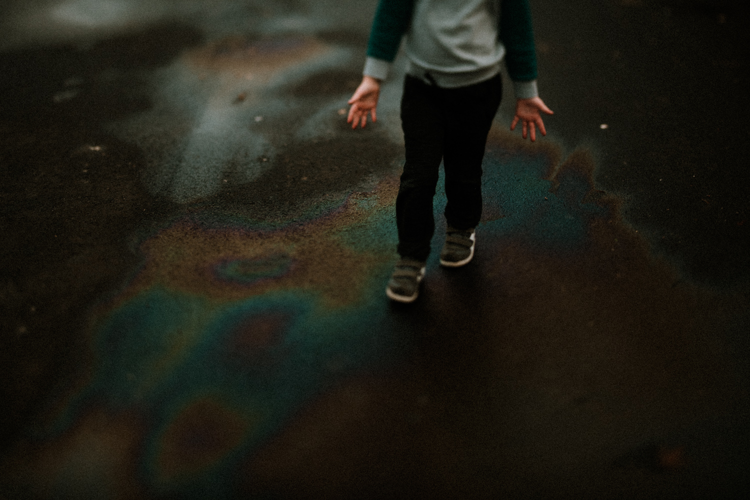 SB-100.jpg