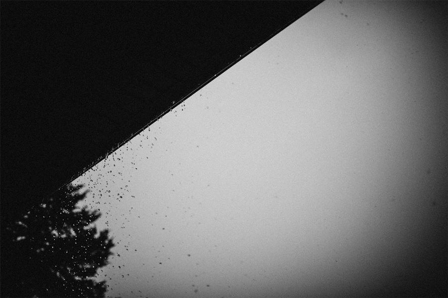 850_8067.gif