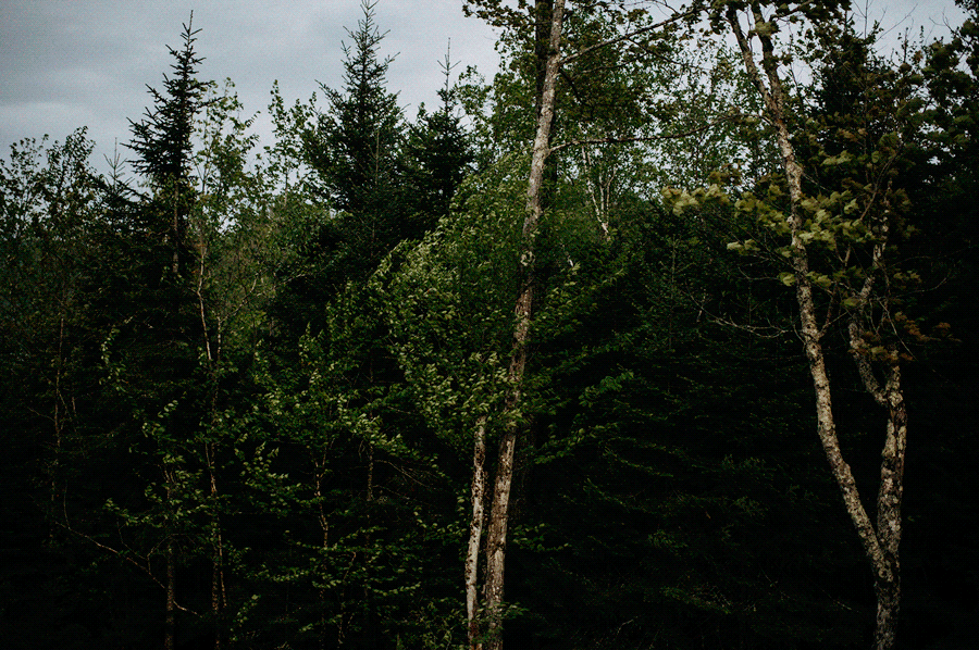 850_9449.gif