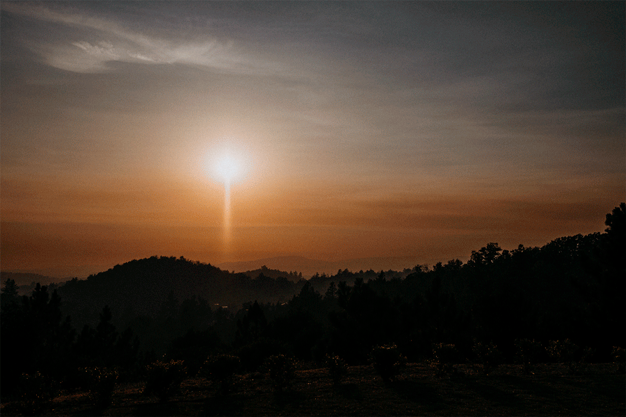 DSCF8691-2.gif