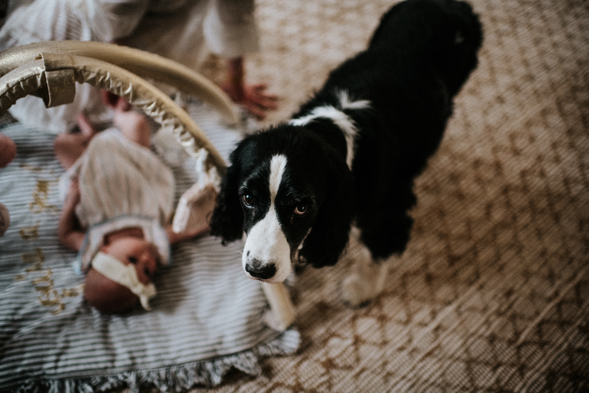 Baby_Quinn-27.jpg