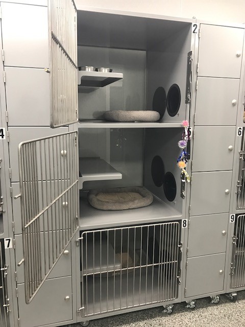 kennel.jpg