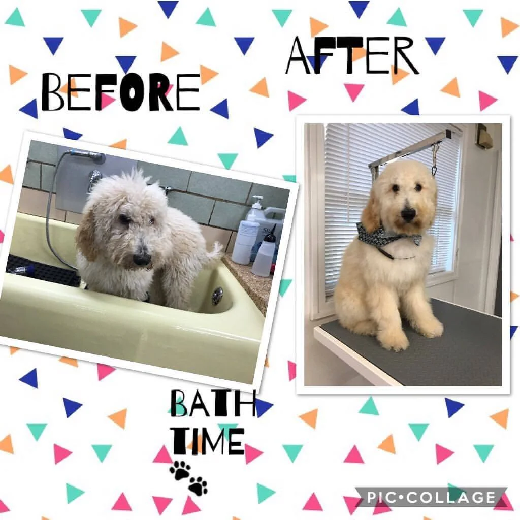 Grooming — Perrysburg Pet Lodge & Spa