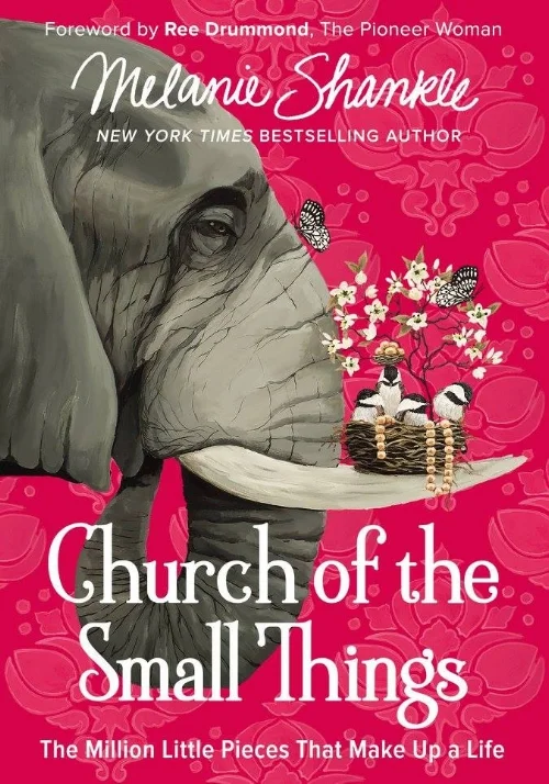 Church of the Small Things Cover.jpg