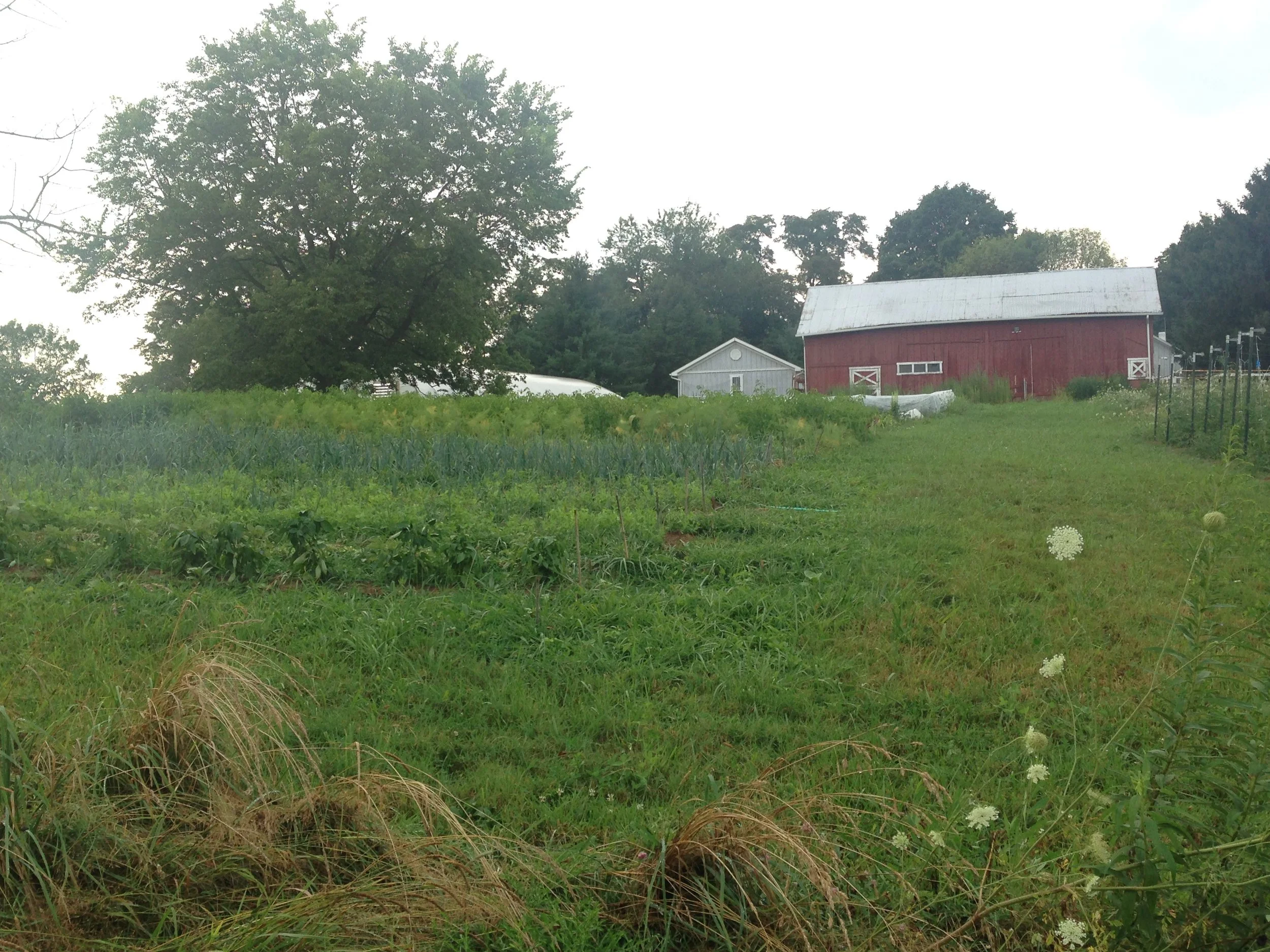 barn+garden view.JPG