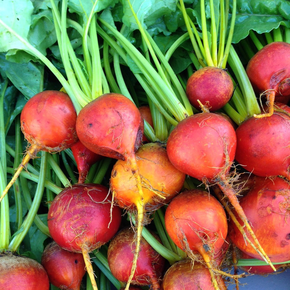 gold-beets.JPG