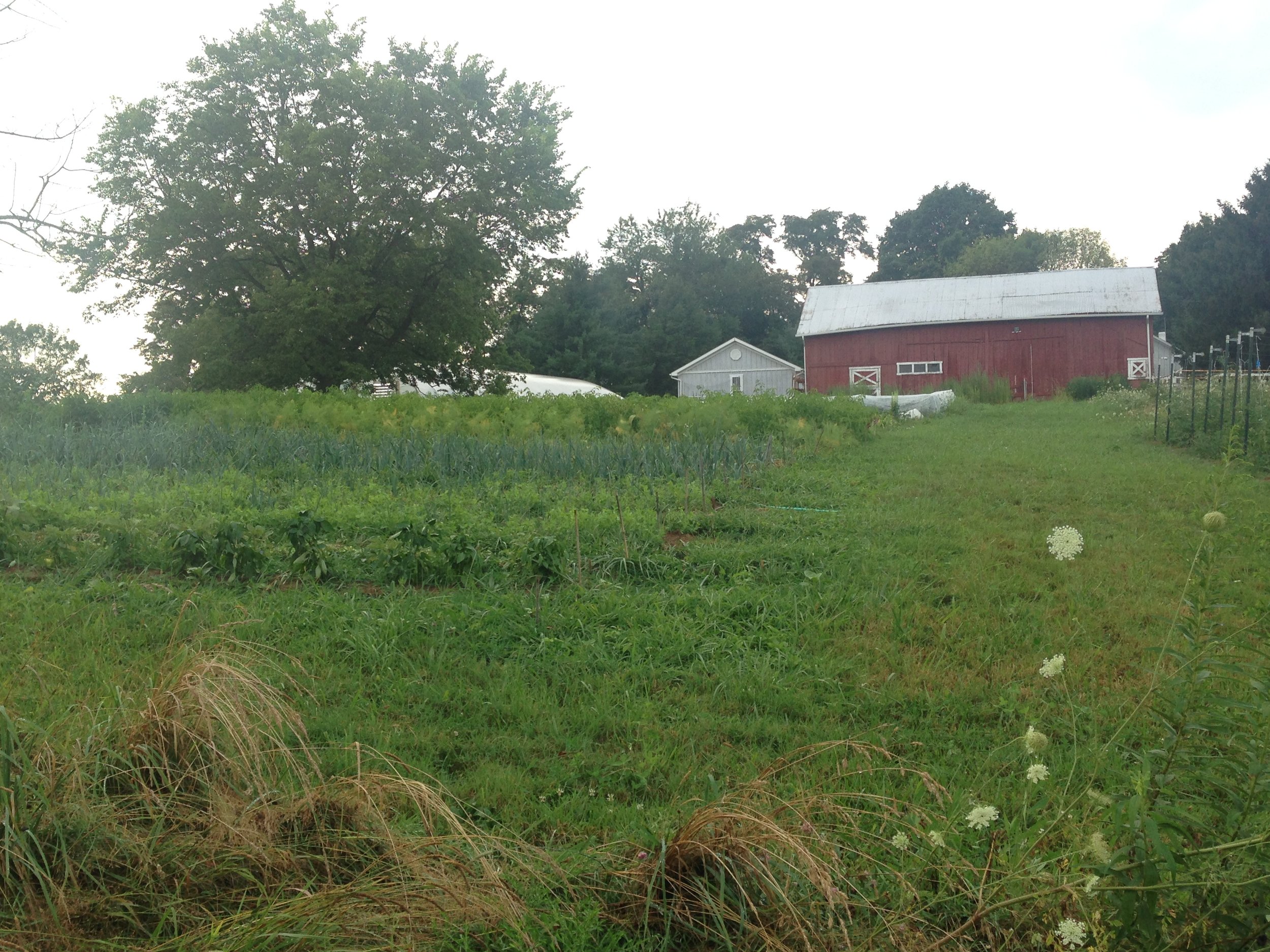 barn+garden view.JPG