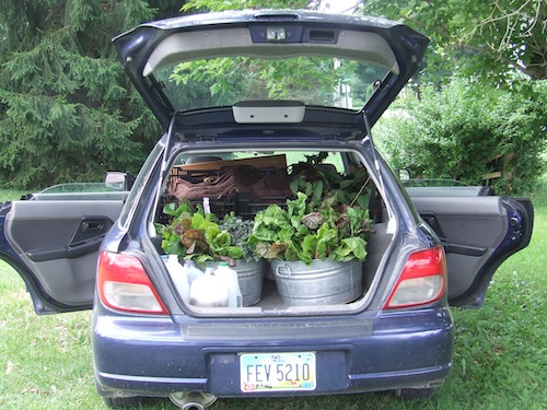 boots loaded.JPG