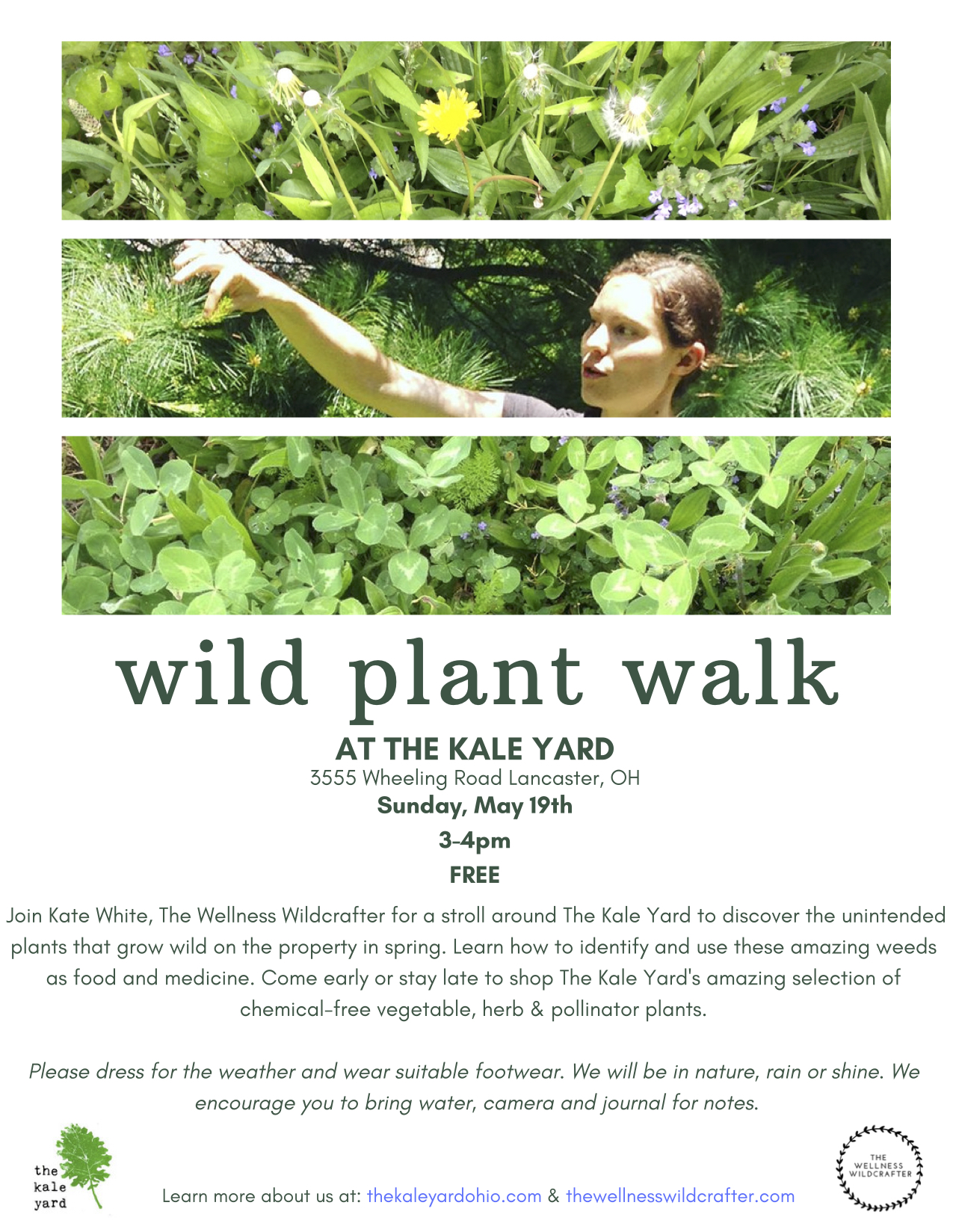 Wild Plant Walk 5.19.19.jpg
