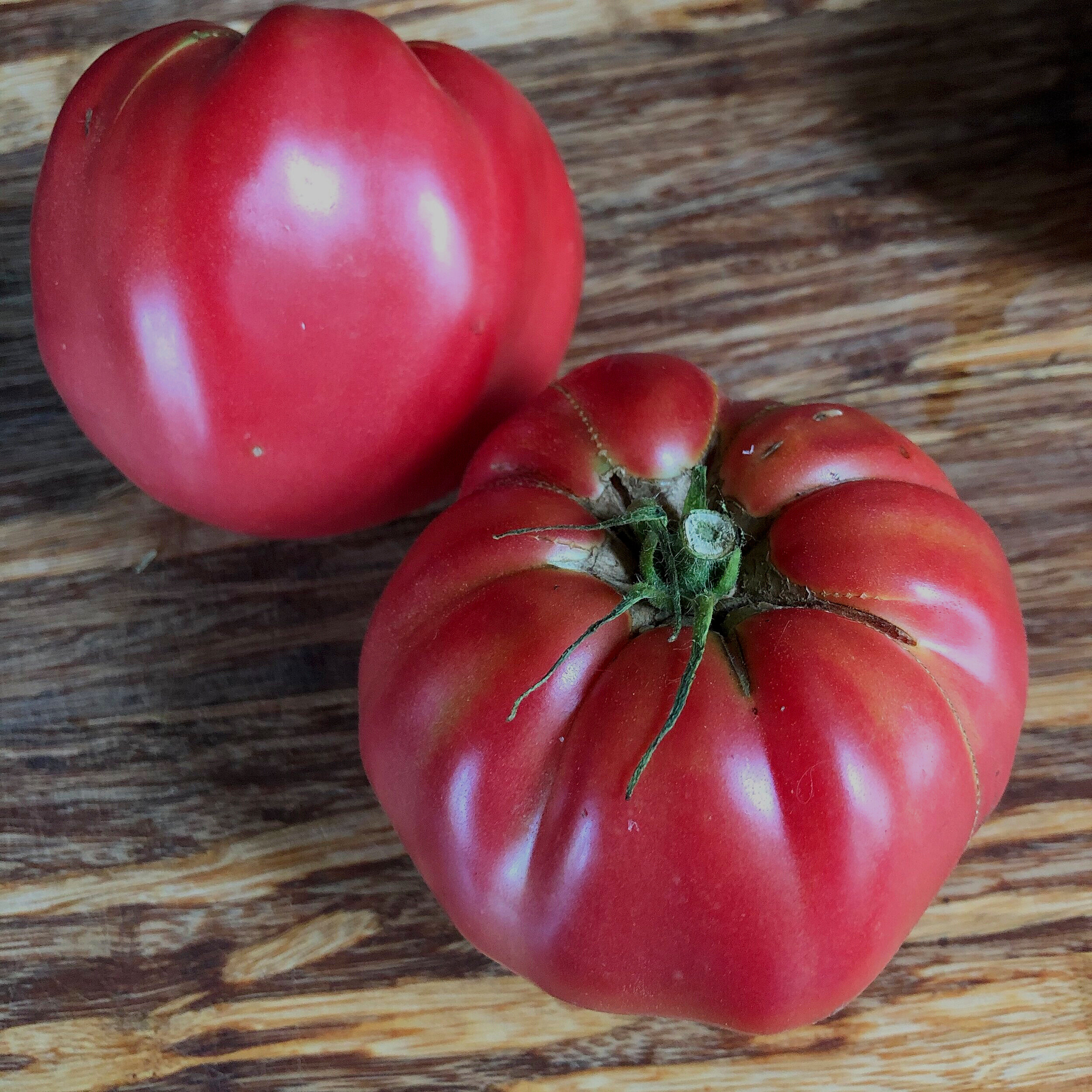 Tomato, Rose