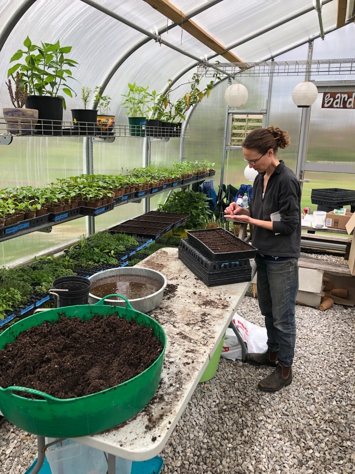 erin seeding in greenhouse.jpg