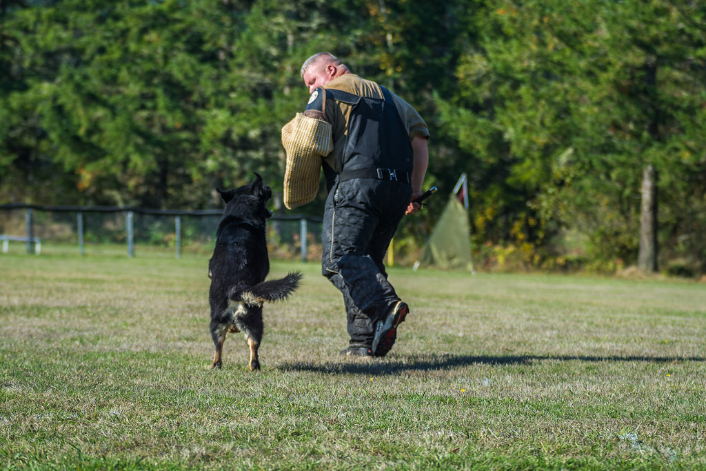 klug k9 training