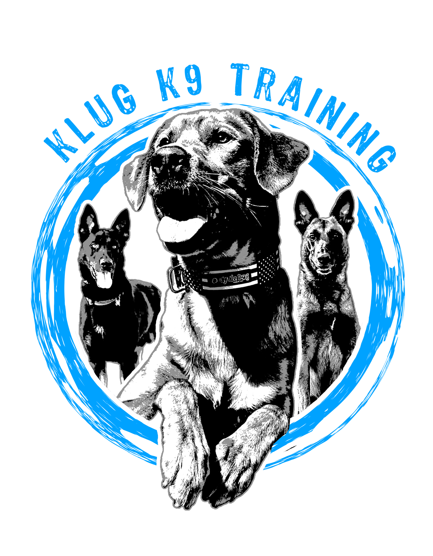 Klug K9 Training