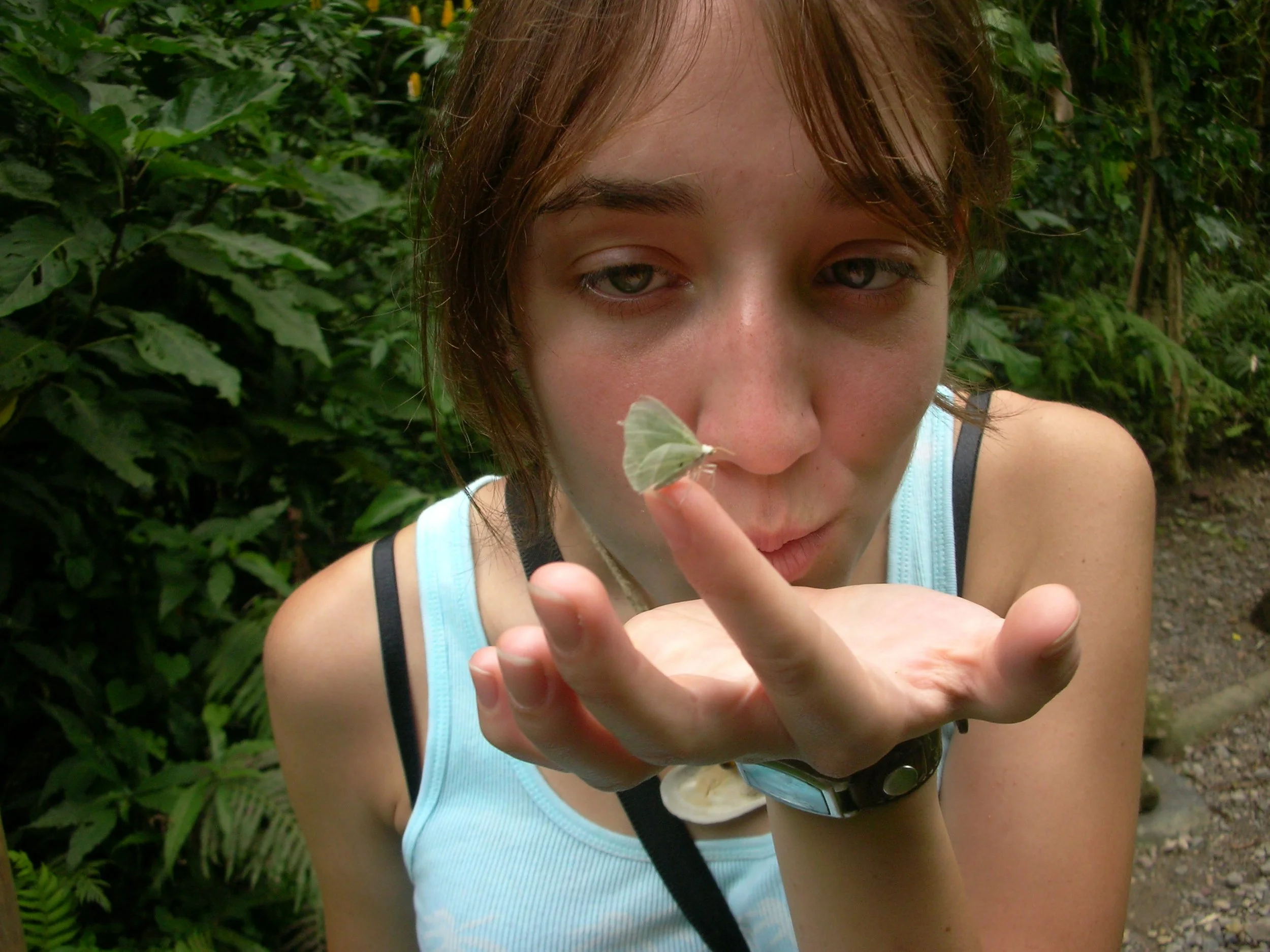 Costa Rican Creature Harmony