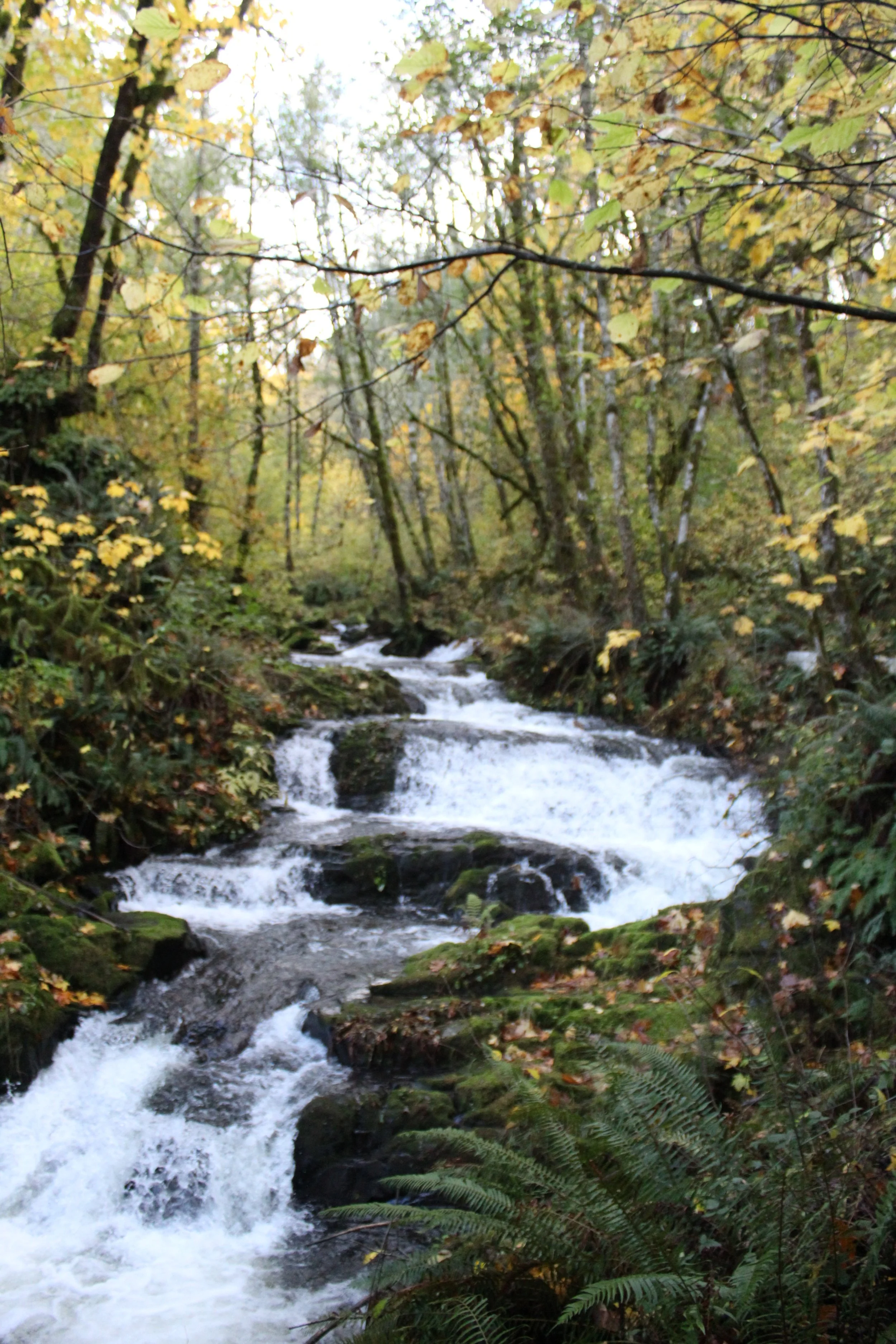 The Path Less Traveled