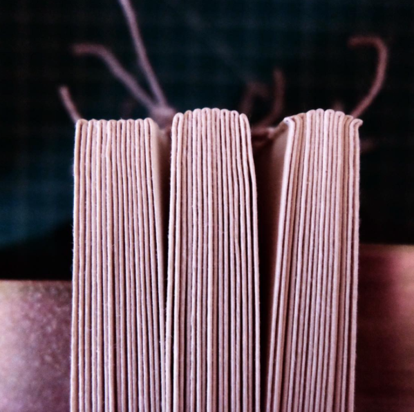 From left to right: glued up, rounded, and backed. The small grooves that result from backing are the joints that eventually receive the boards. 