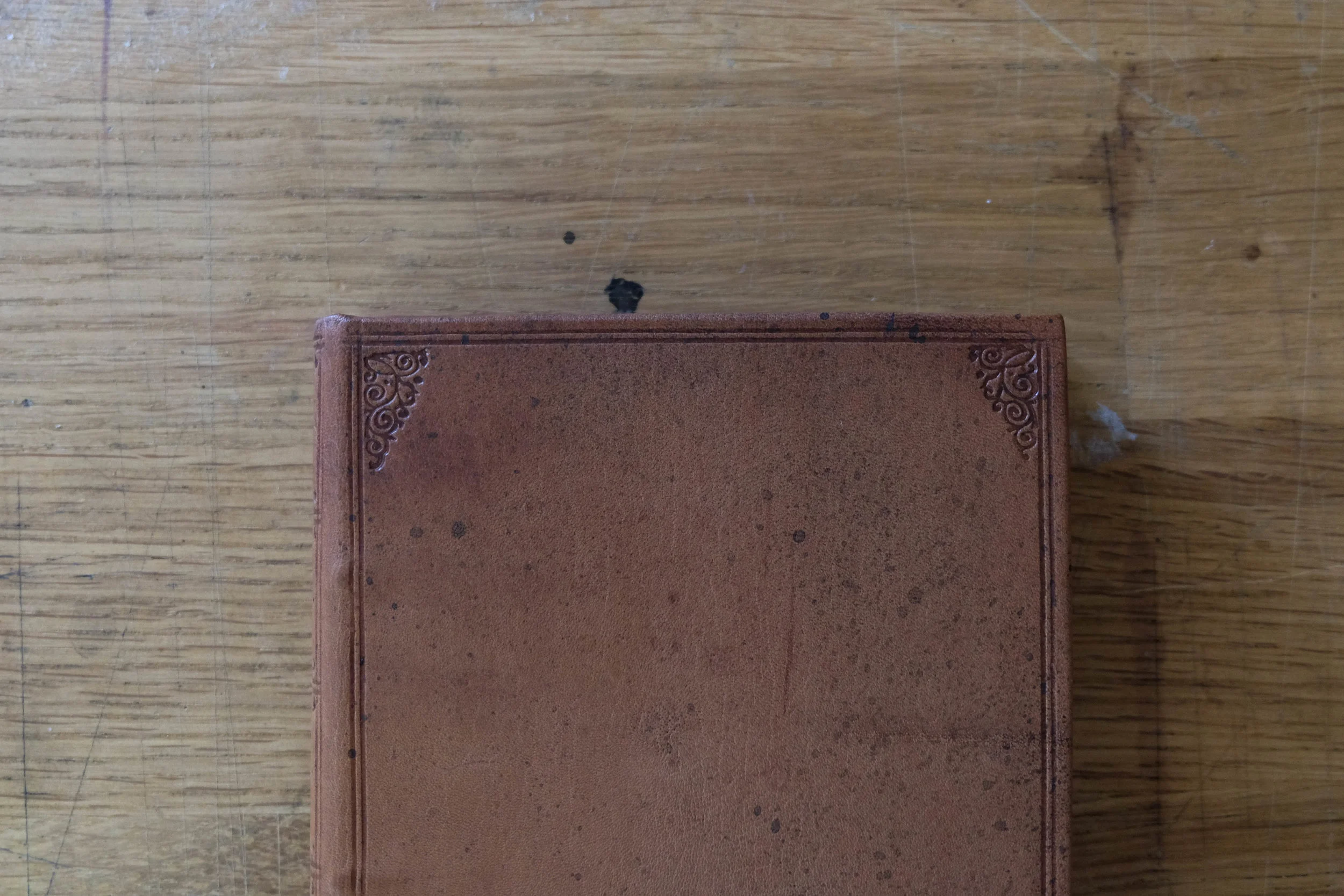 DSCF5105.jpg