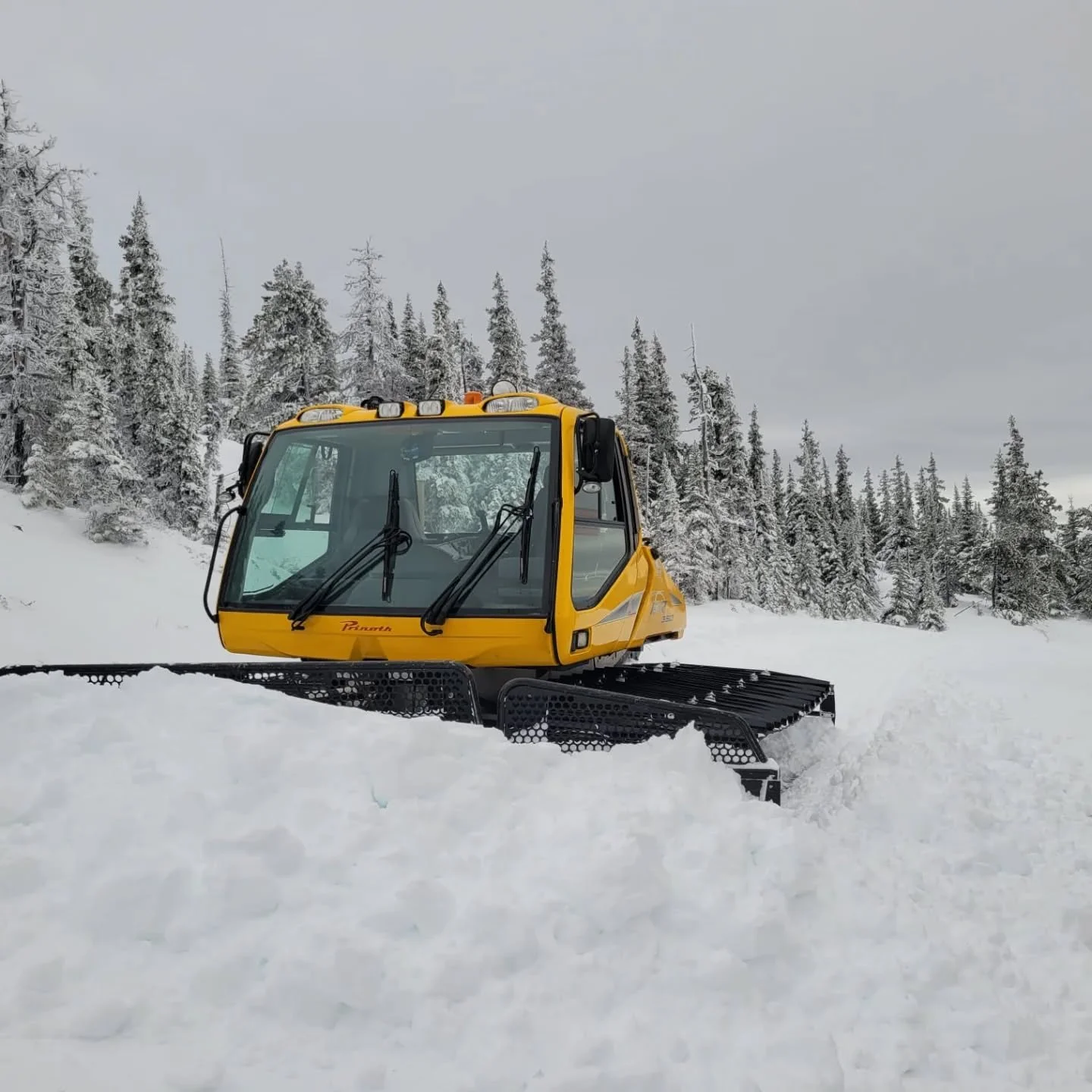 Track packing in the upper mountain area. Snow is good👌 dancing on this forecast for those final inches to give us the goods for the base area. Can't wait to share the slopes with you all again!