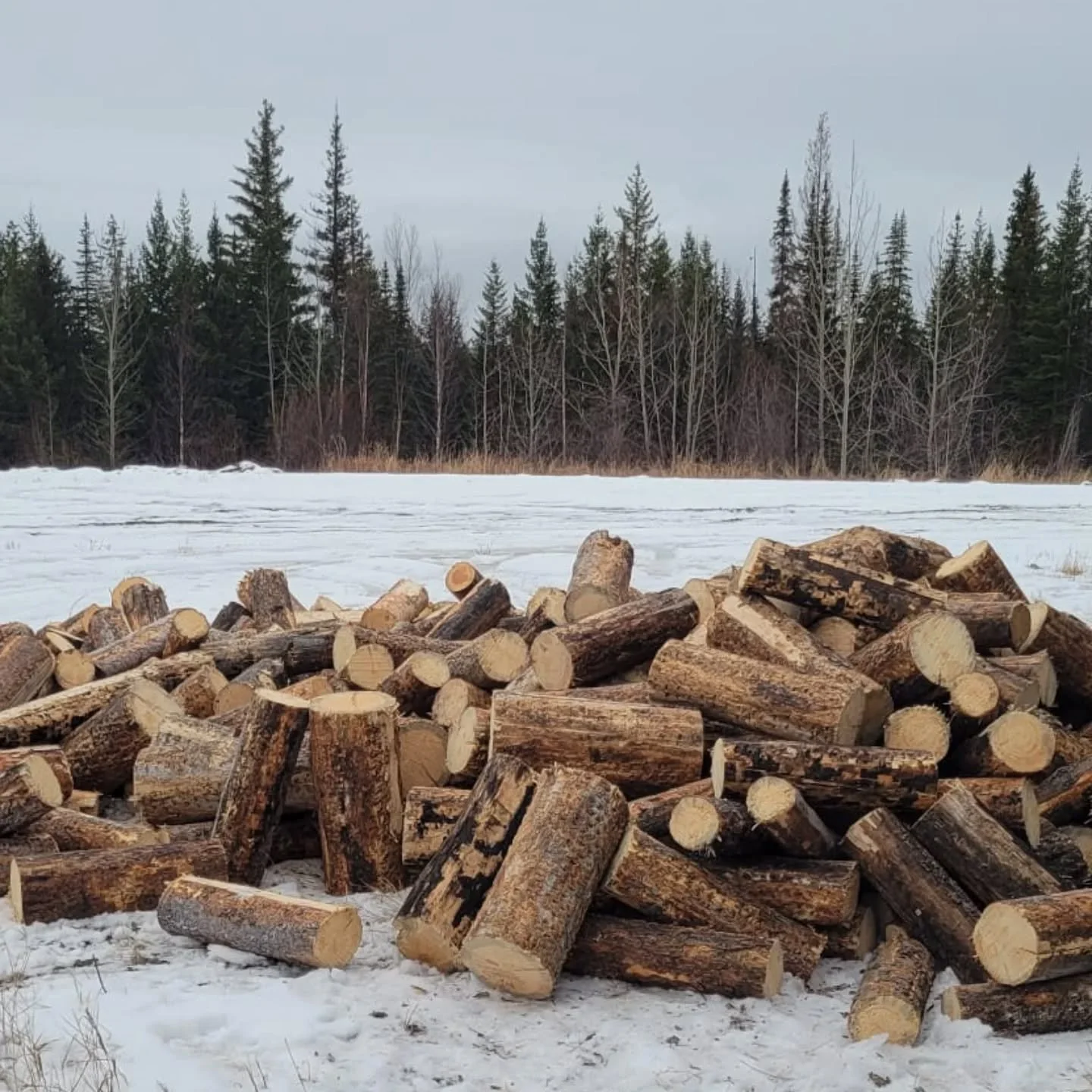A big Thank you! To K&amp;D Logging for the donation of firewood to keep our lodge toasty this winter! One step closer to opening date Dec 19th!

All pre season maintenance is complete, lodge is stocked, staff training wraps up this Saturday, track p