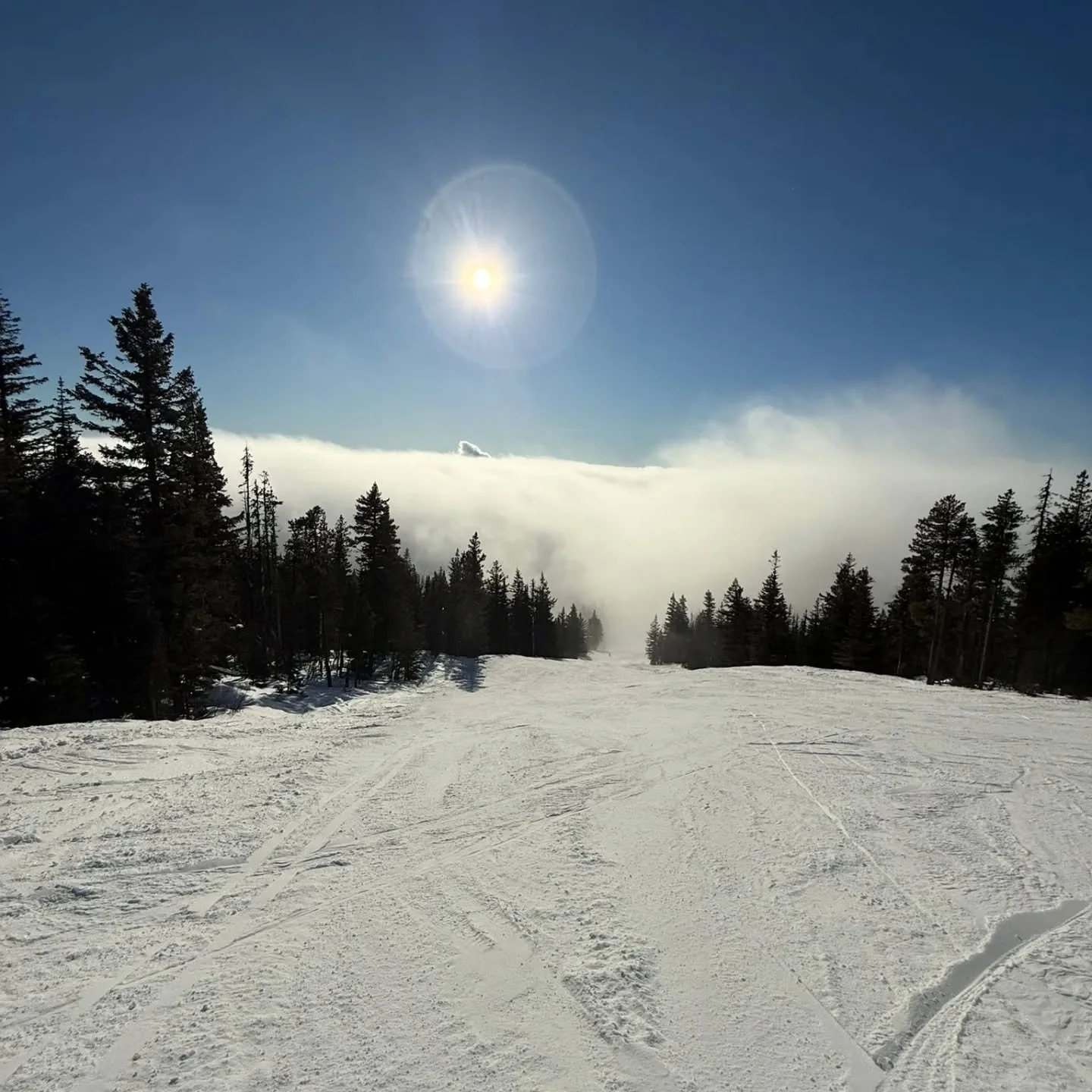 Starting the year off with a bang. We regret to post this: the mountain will be closed today. Open for community breakfast. 

We received rain and wind last night,  and the conditions are not safe or fun. Open for community breaky 10-12.