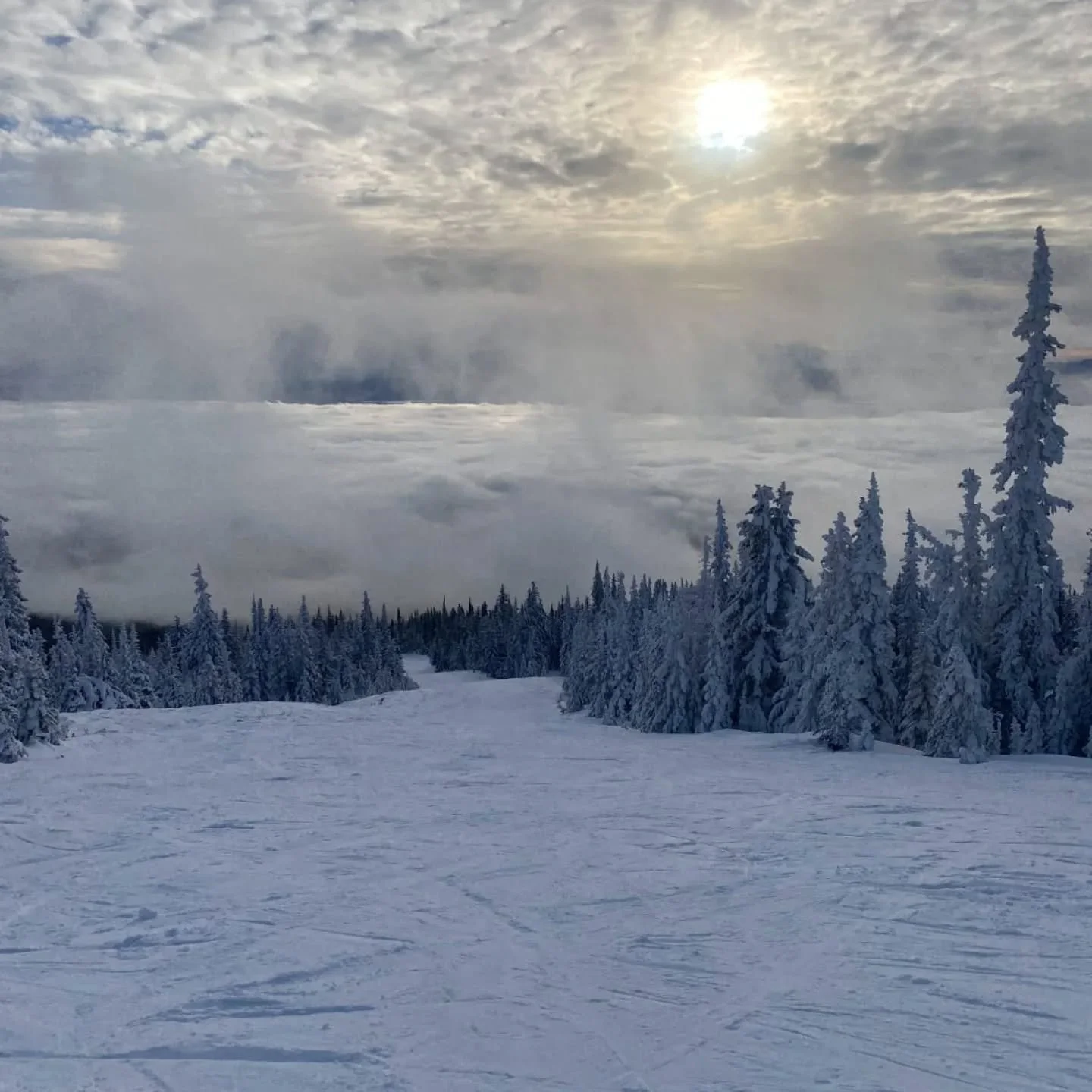 Today was just one of those days today 👌. Partial bluebird with a moody fog layer just to keep the drama high. Cold but not frigid. Snow is gorgeous especially in the upper mountain. Just a nice winter day. Feels great to move the body after the slu