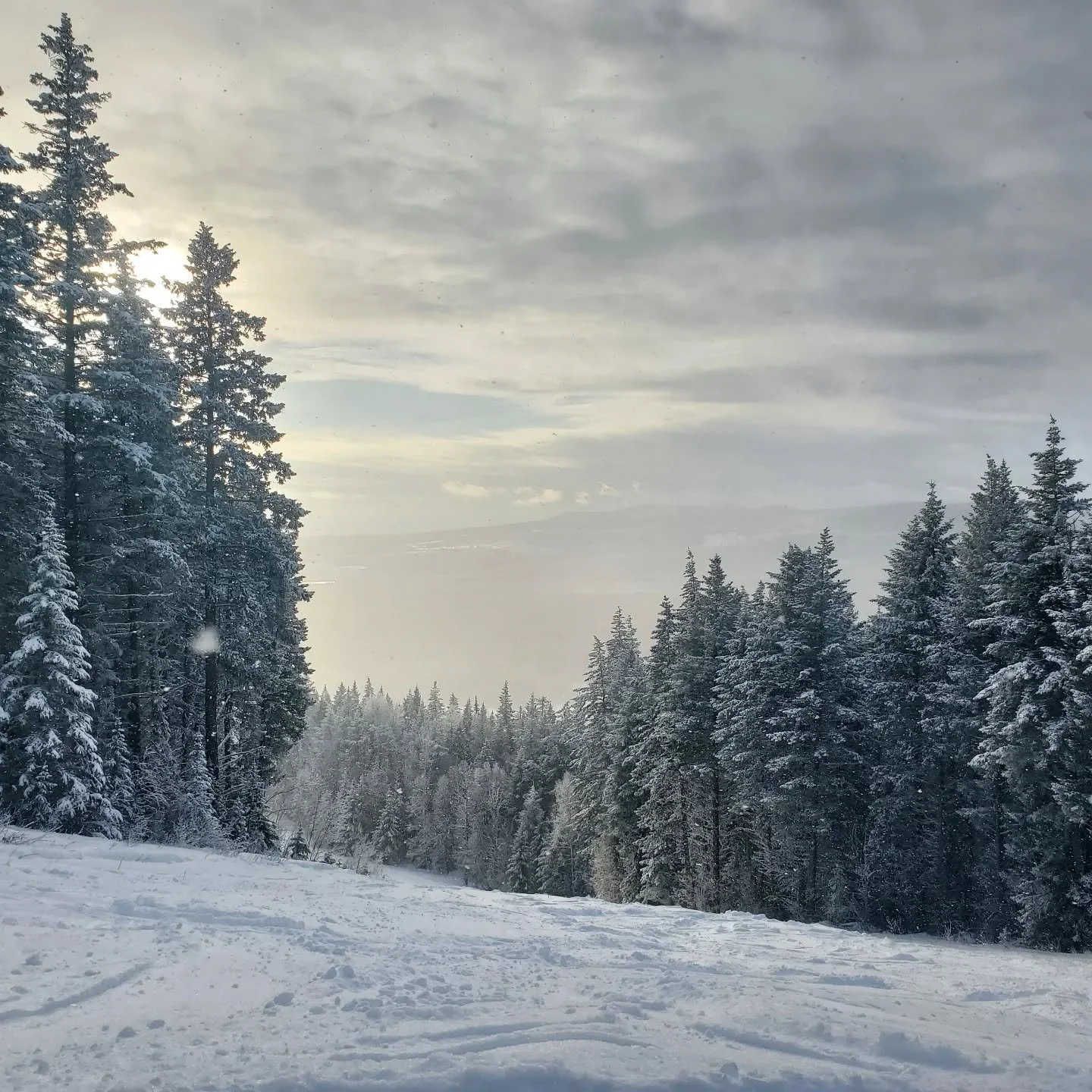 Open Thursday to Sunday. Fresh groomed runs, like most Thursdays you'll probably have the whole hill to yourself...