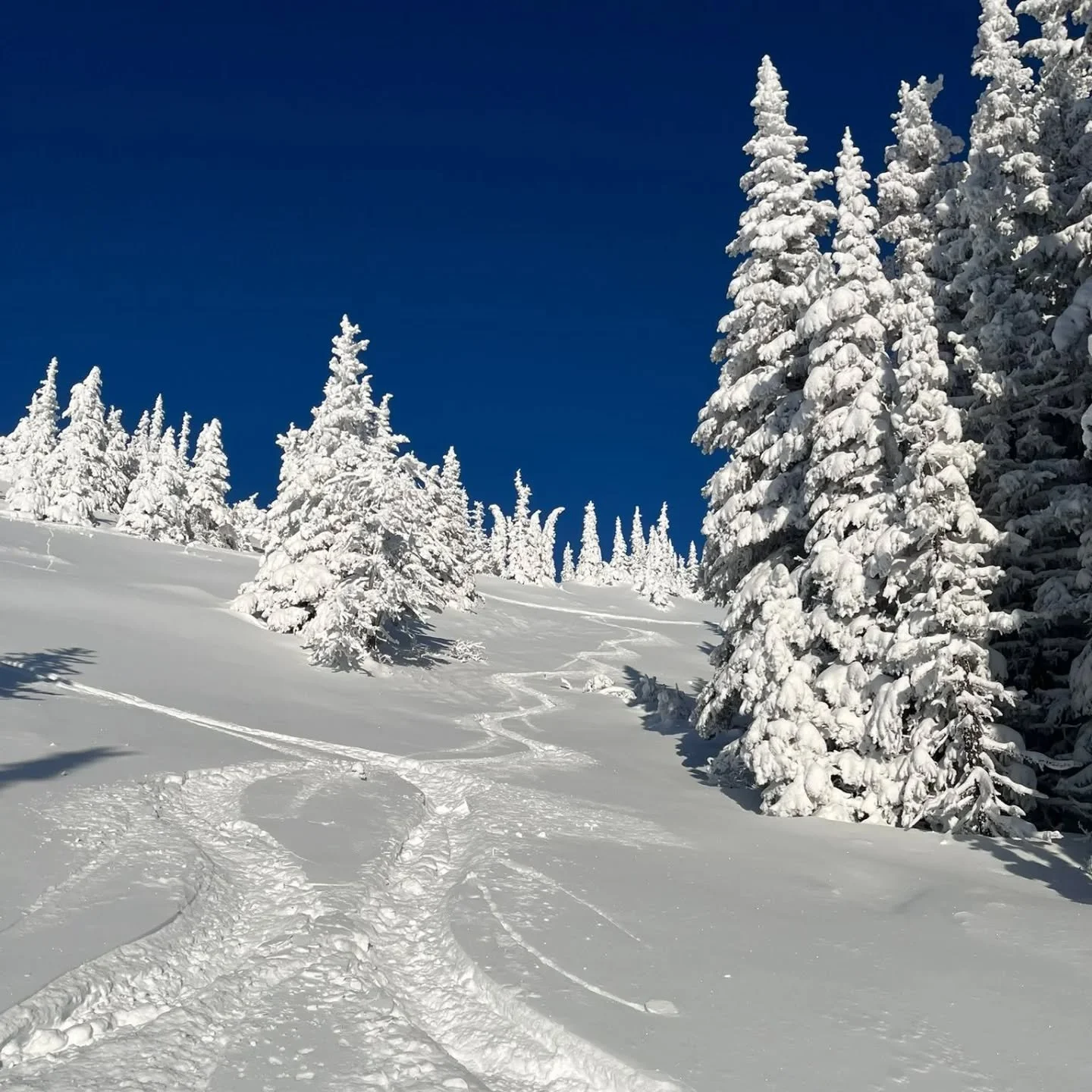 A skiff of fresh snow -2C and tilled runs.. open Thurs to Sunday!
Park is under construction...6 features and six jumps nearing completion. See you on the slopes!