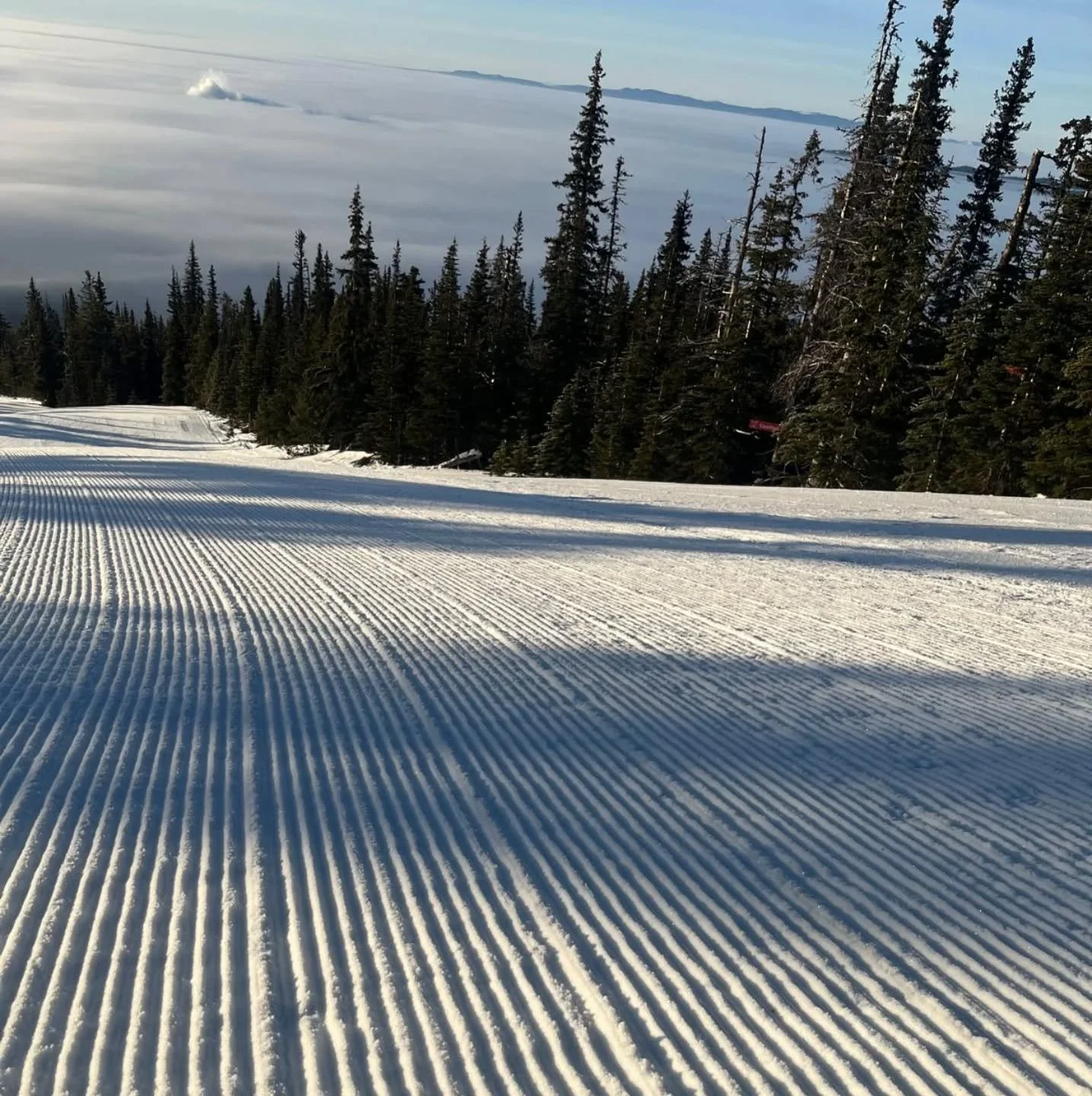 CAPTION!

Inversion: a meteorological phenomenon when warm air slips above cold air and makes higher elevations warmer..and sunnier. We've had a strong inversion here for almost two weeks. Gorgeous blue bird, perfect groomed runs and all the sunshine