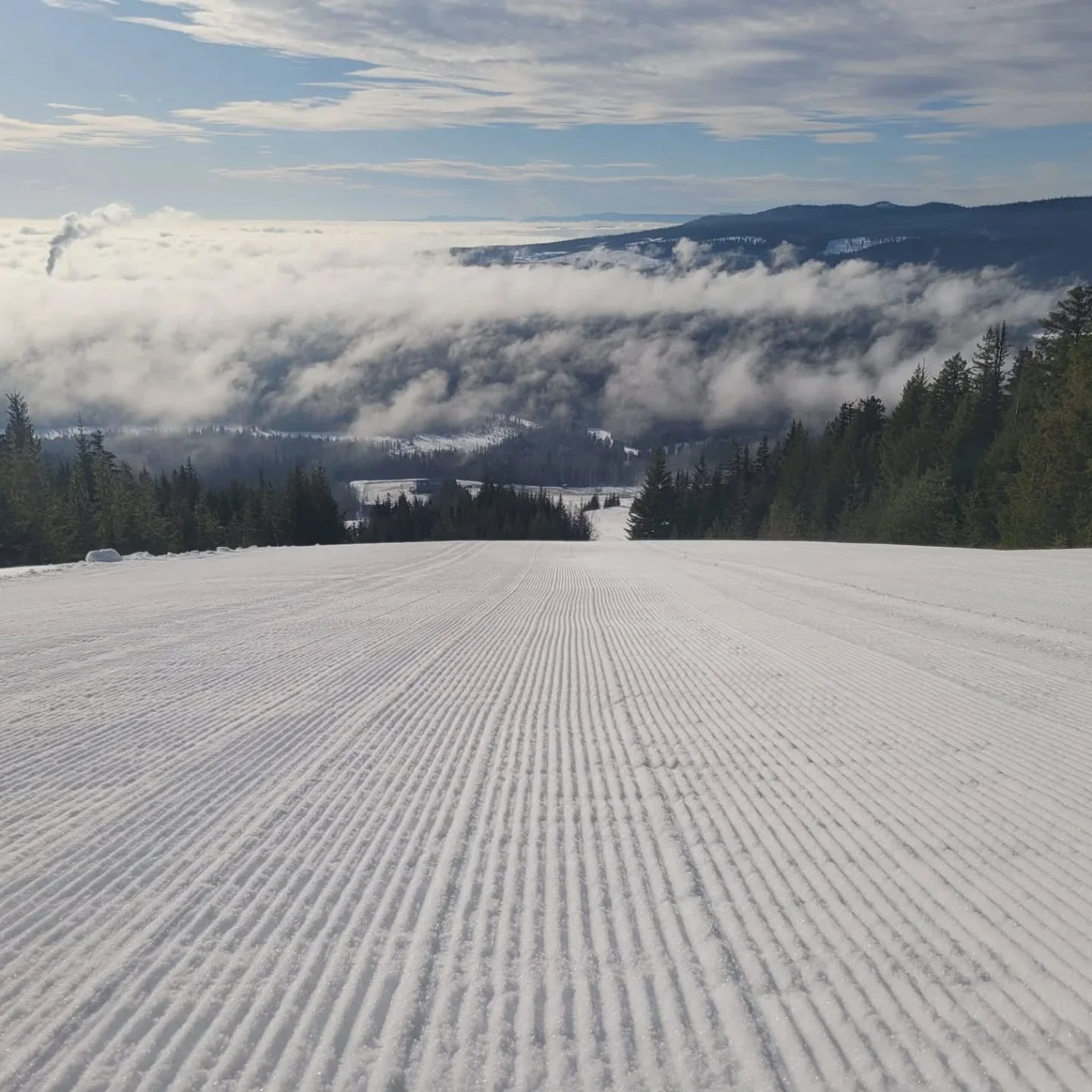 Can we have your attention please! This photo is from 49minutes ago. In a stroke a genius, allowing the snow to freeze has saved our biscuit! Cooler temperatures forecasted for tonight, grooming will commence as usual. We look forward to enjoying som